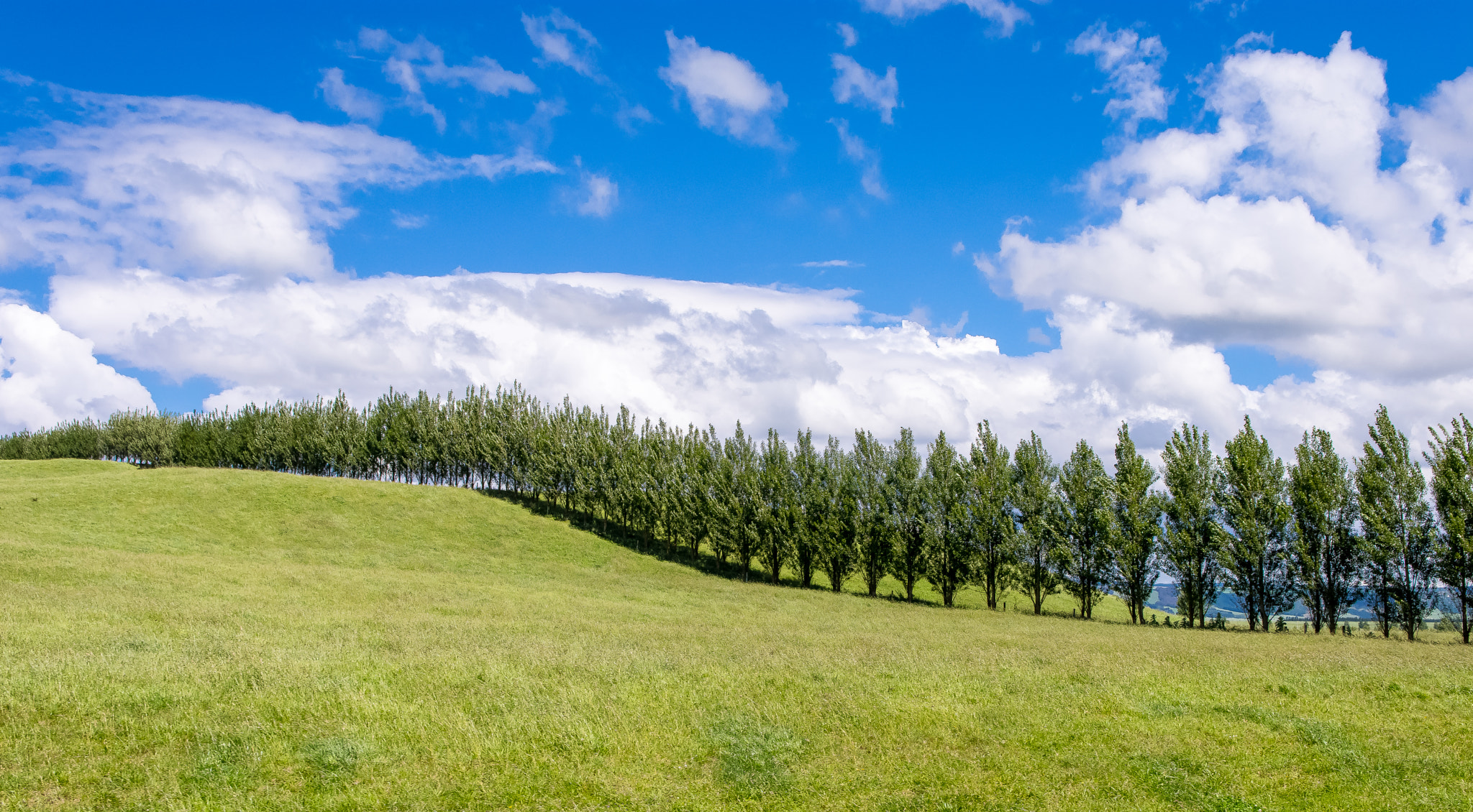 Nikon D7200 sample photo. On the road photography