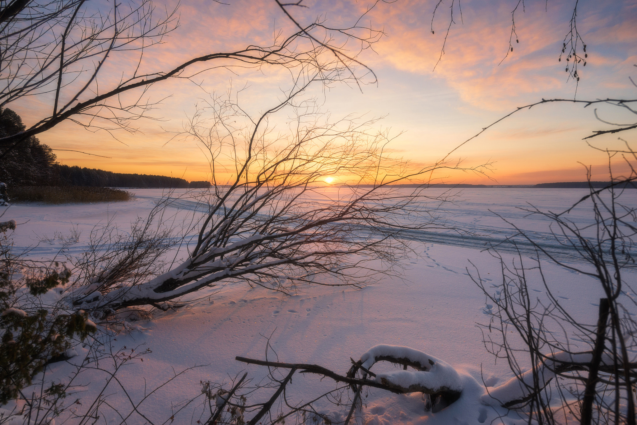 Nikon AF-S Nikkor 14-24mm F2.8G ED sample photo. 587. sunset november day iii photography