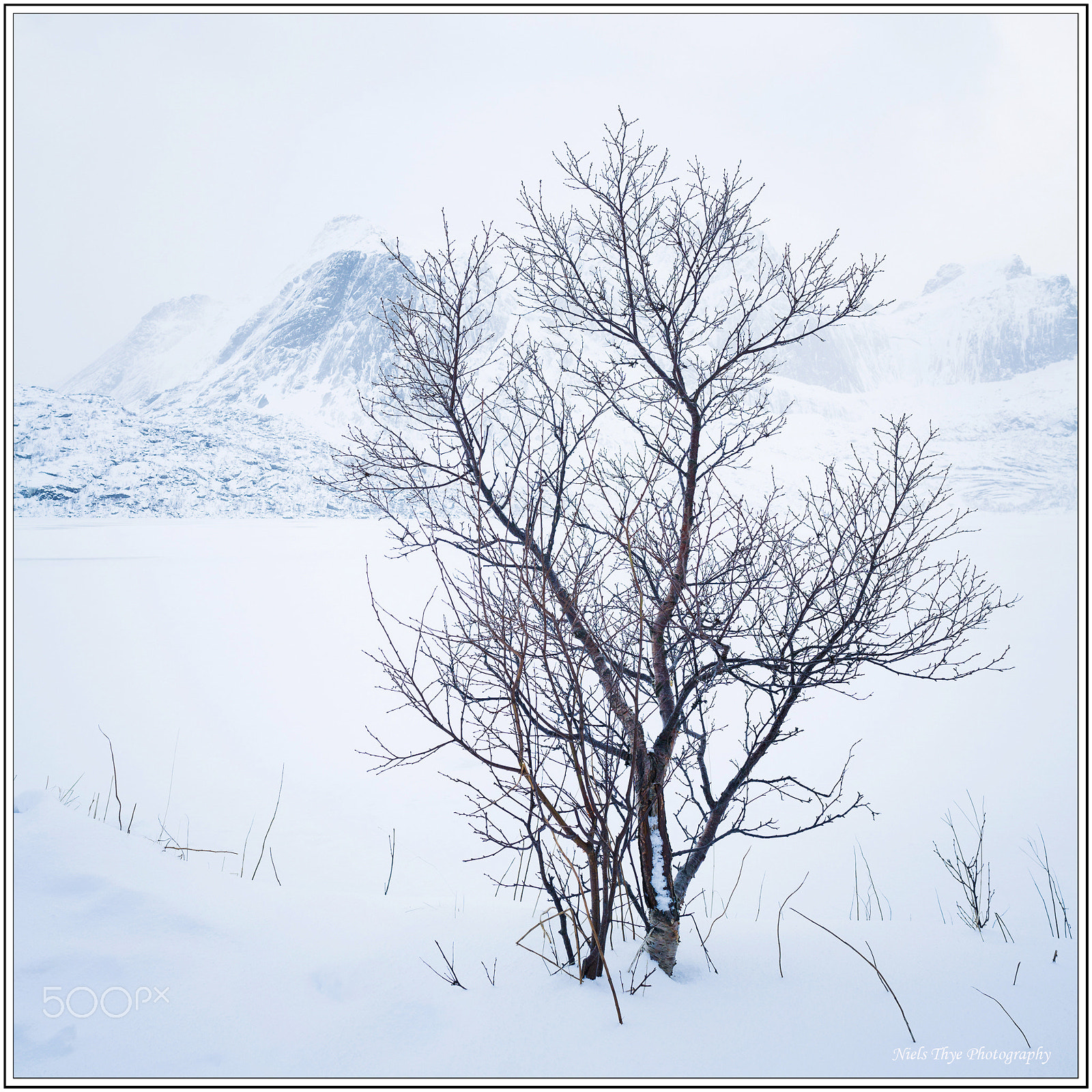 ZEISS Batis 18mm F2.8 sample photo. Whiteout photography
