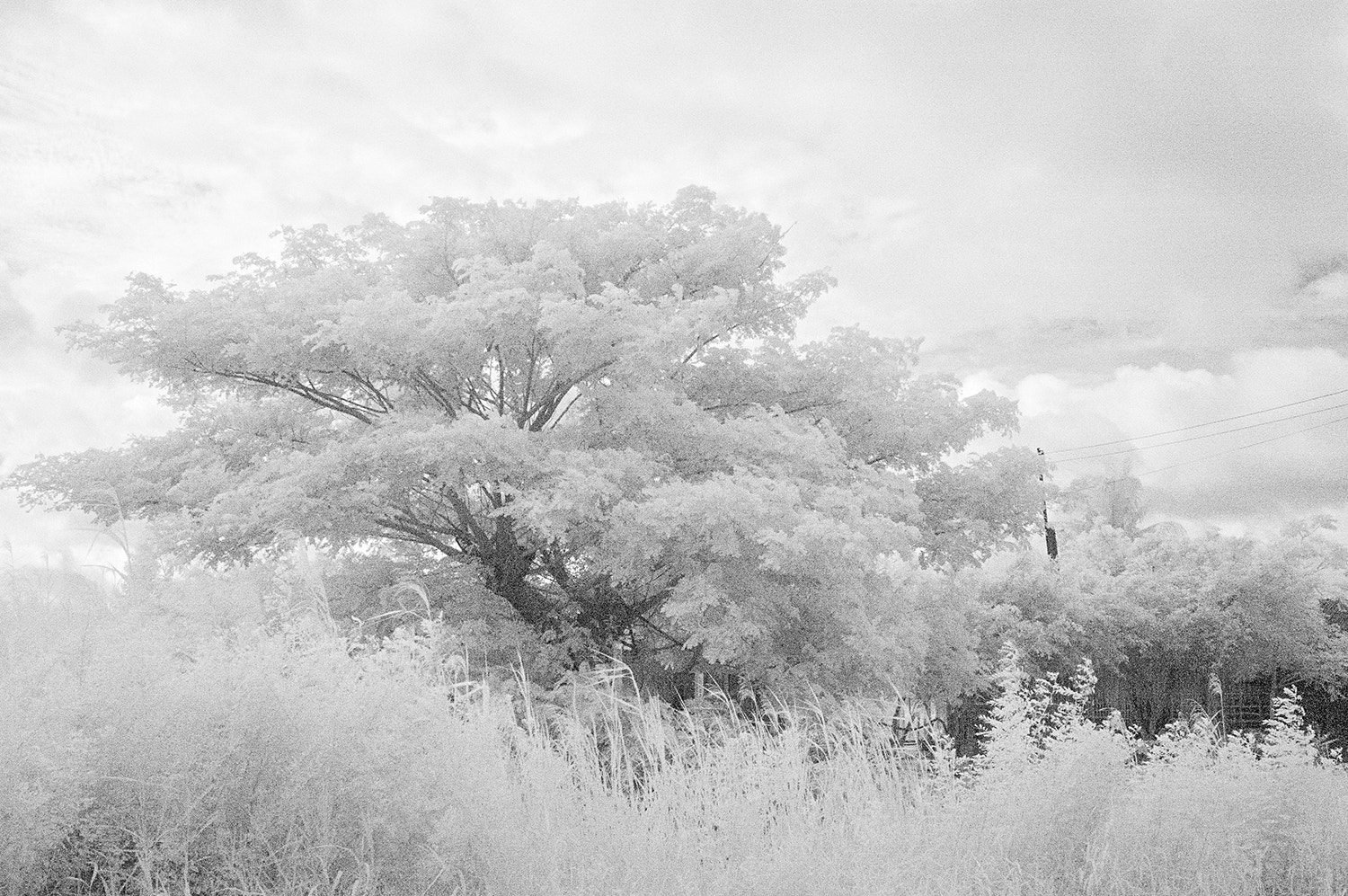 Nikon AF-S Nikkor 17-35mm F2.8D ED-IF sample photo. B&w photography
