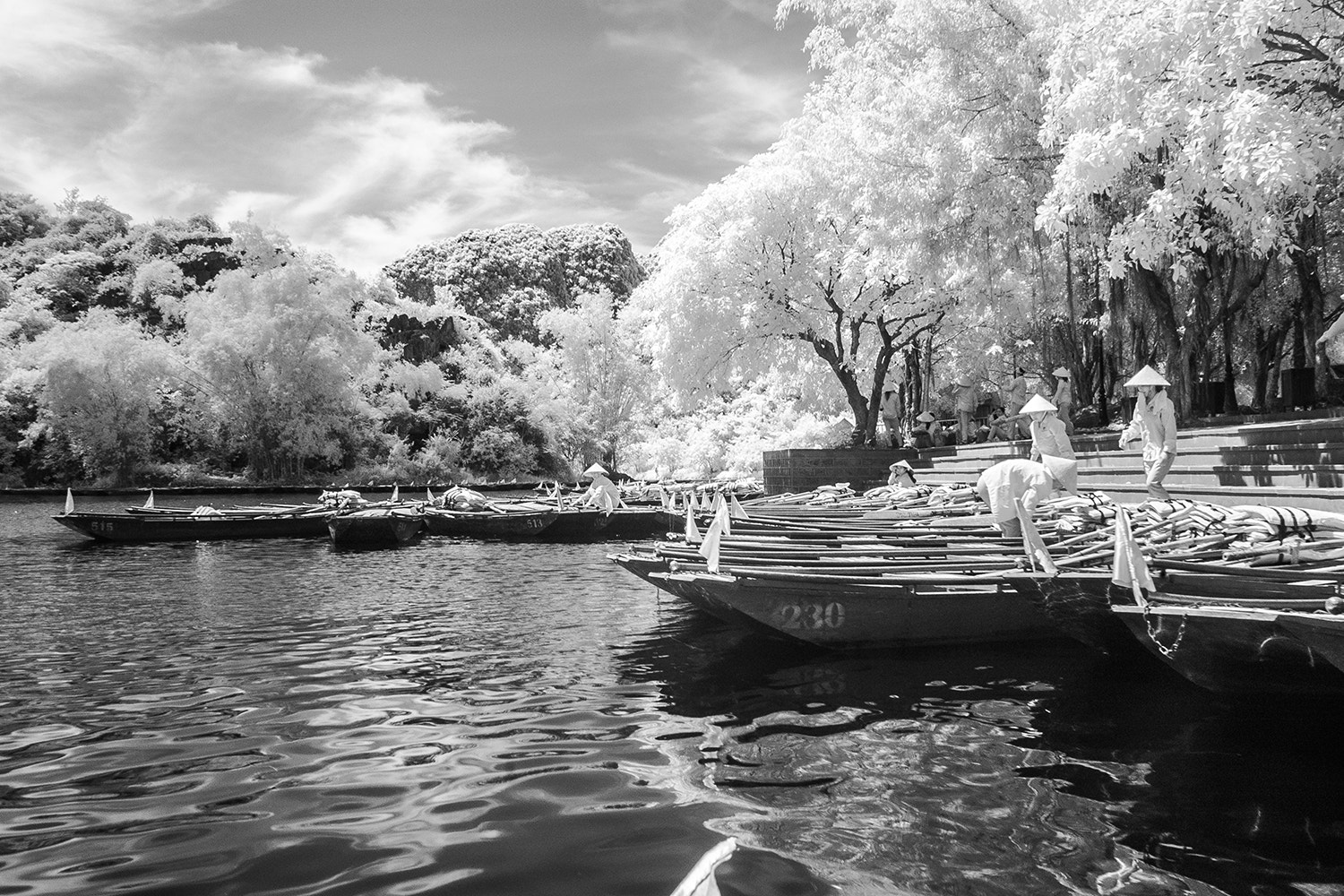 Nikon D70 sample photo. B&w photography