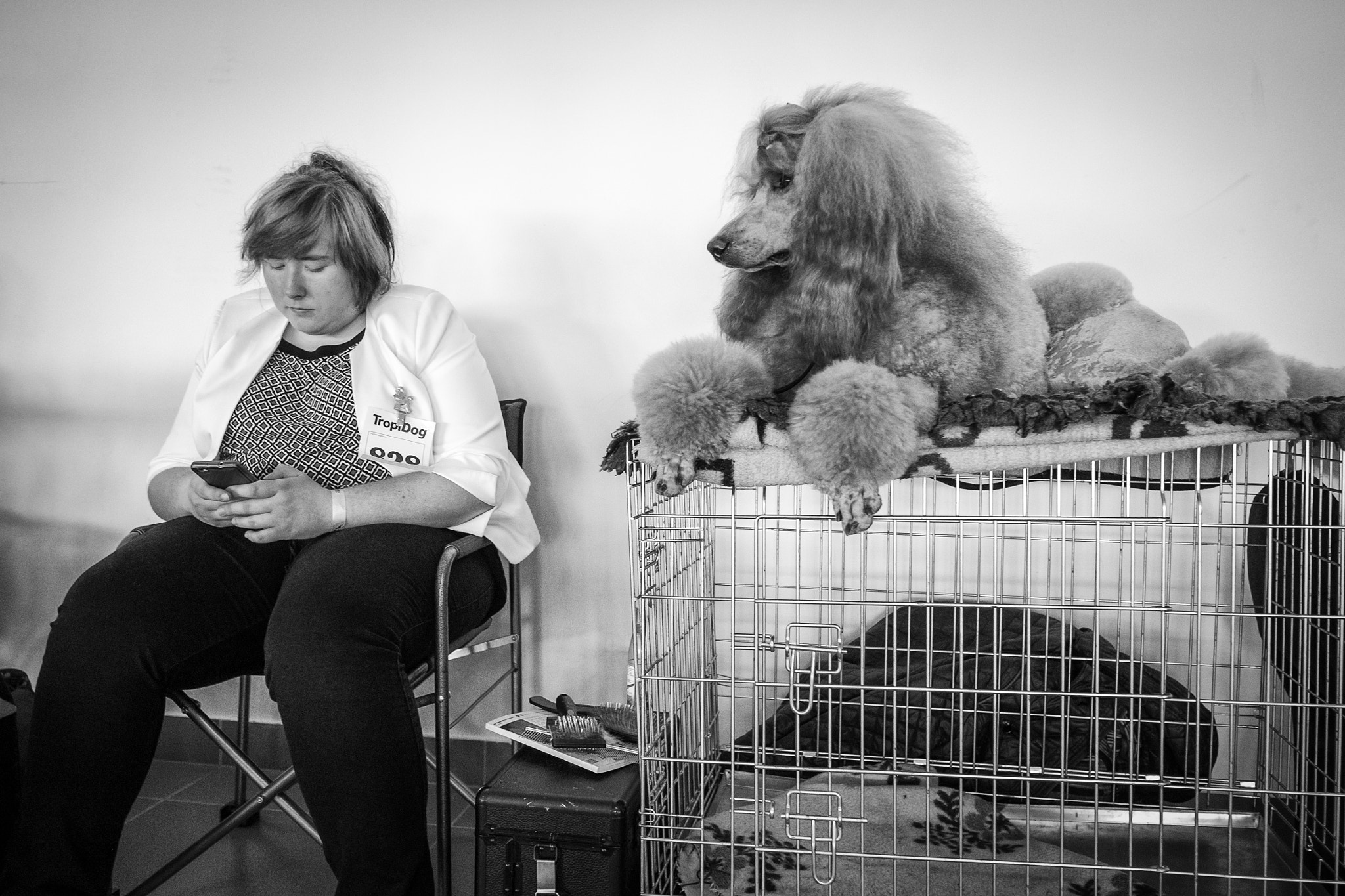 Fujifilm X-E2 + Fujifilm XF 18mm F2 R sample photo. Dog, m. phone & owner photography