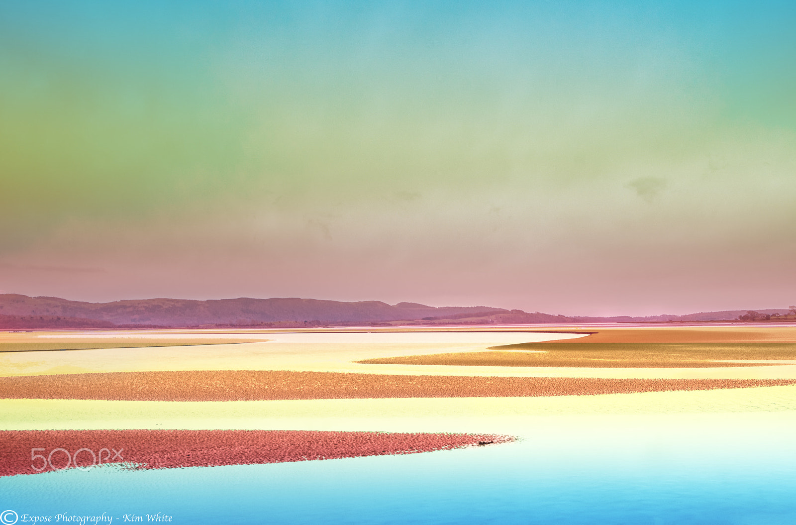 Nikon D500 sample photo. Estuary of colour photography