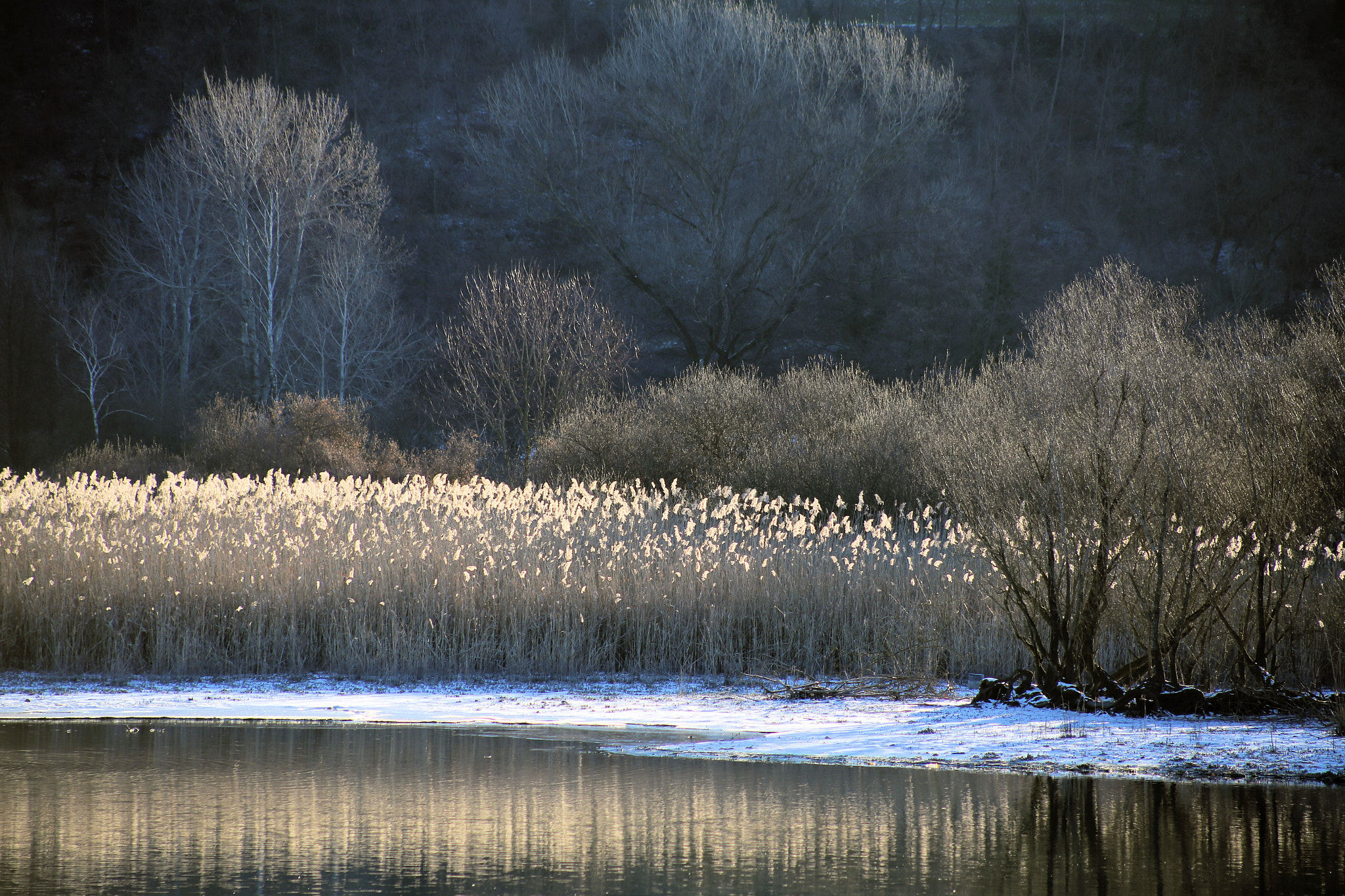 Canon EF 75-300mm f/4-5.6 USM sample photo. Brivio fiume adda photography