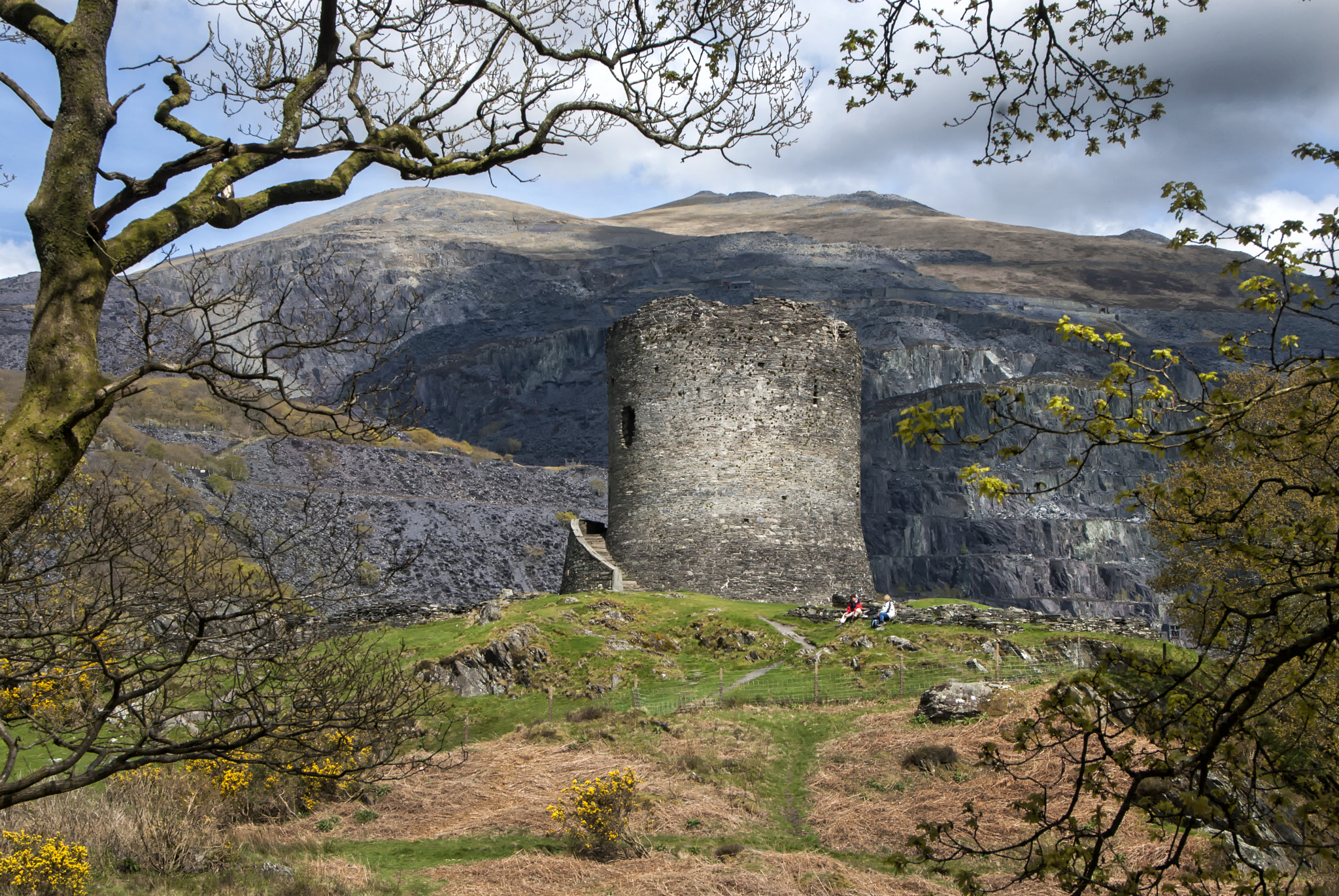 Nikon D200 sample photo. Dolbadarn castle photography