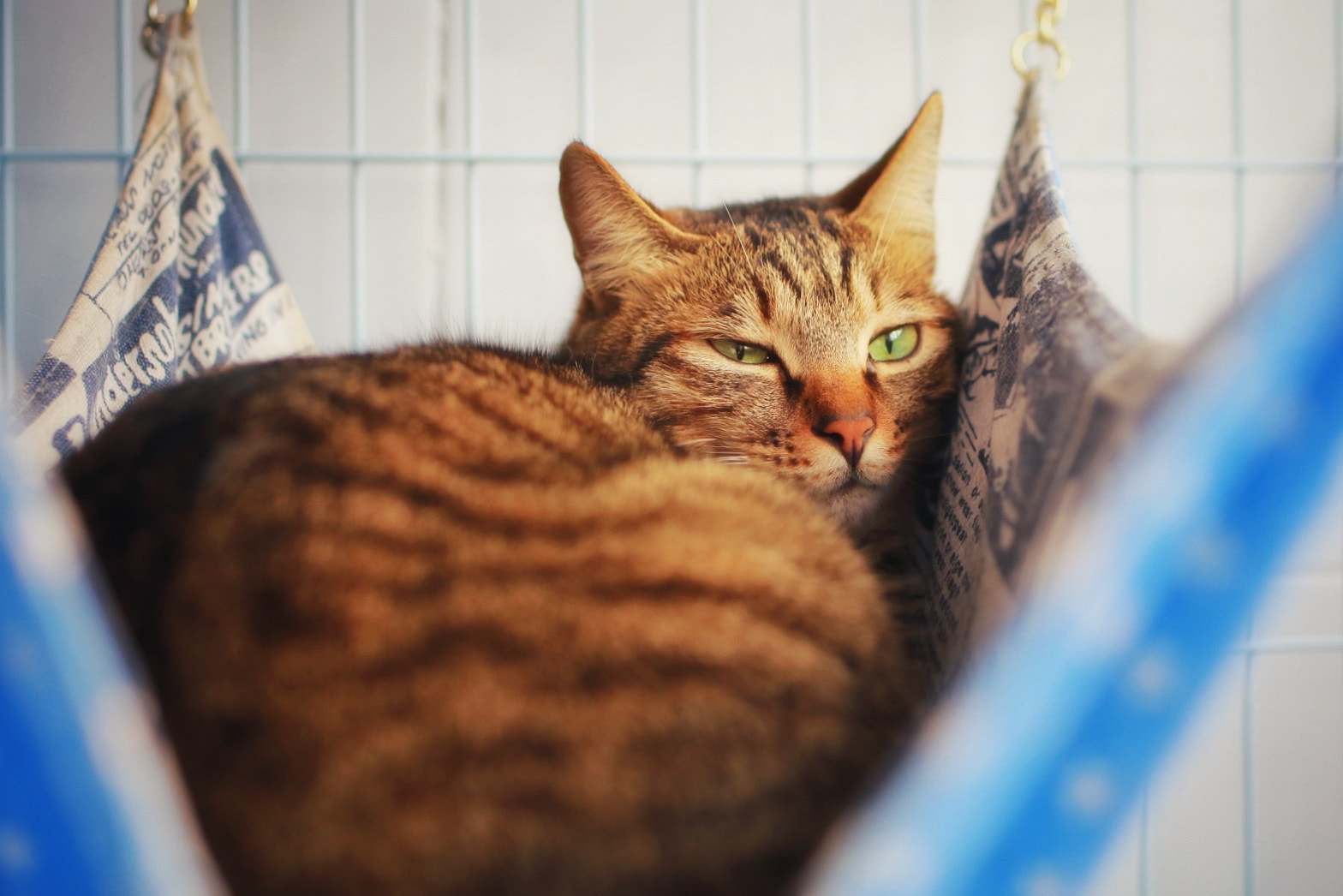 Tamron SP 45mm F1.8 Di VC USD sample photo