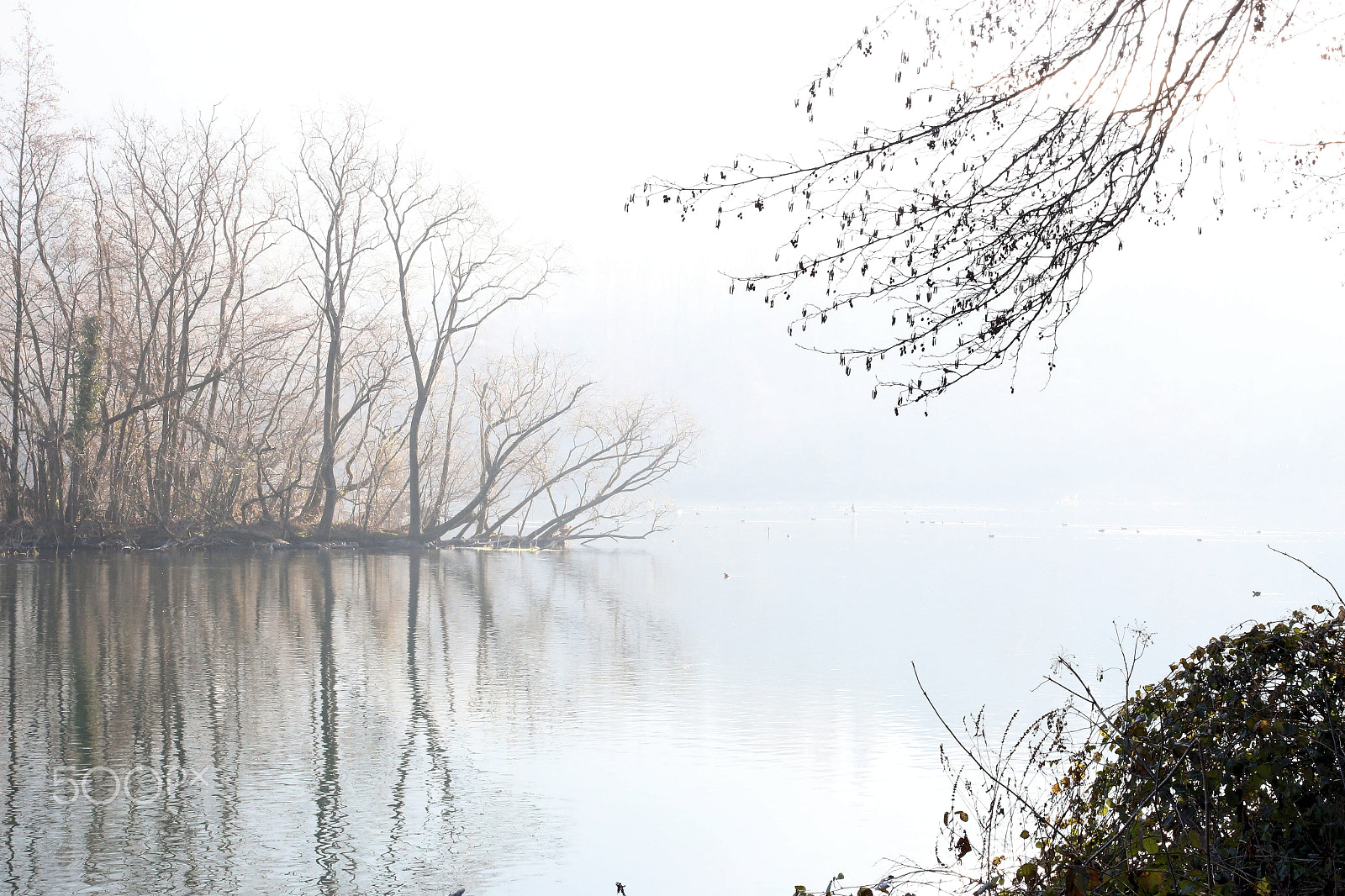 Canon EF 75-300mm f/4-5.6 USM sample photo. Brivio fiume adda photography