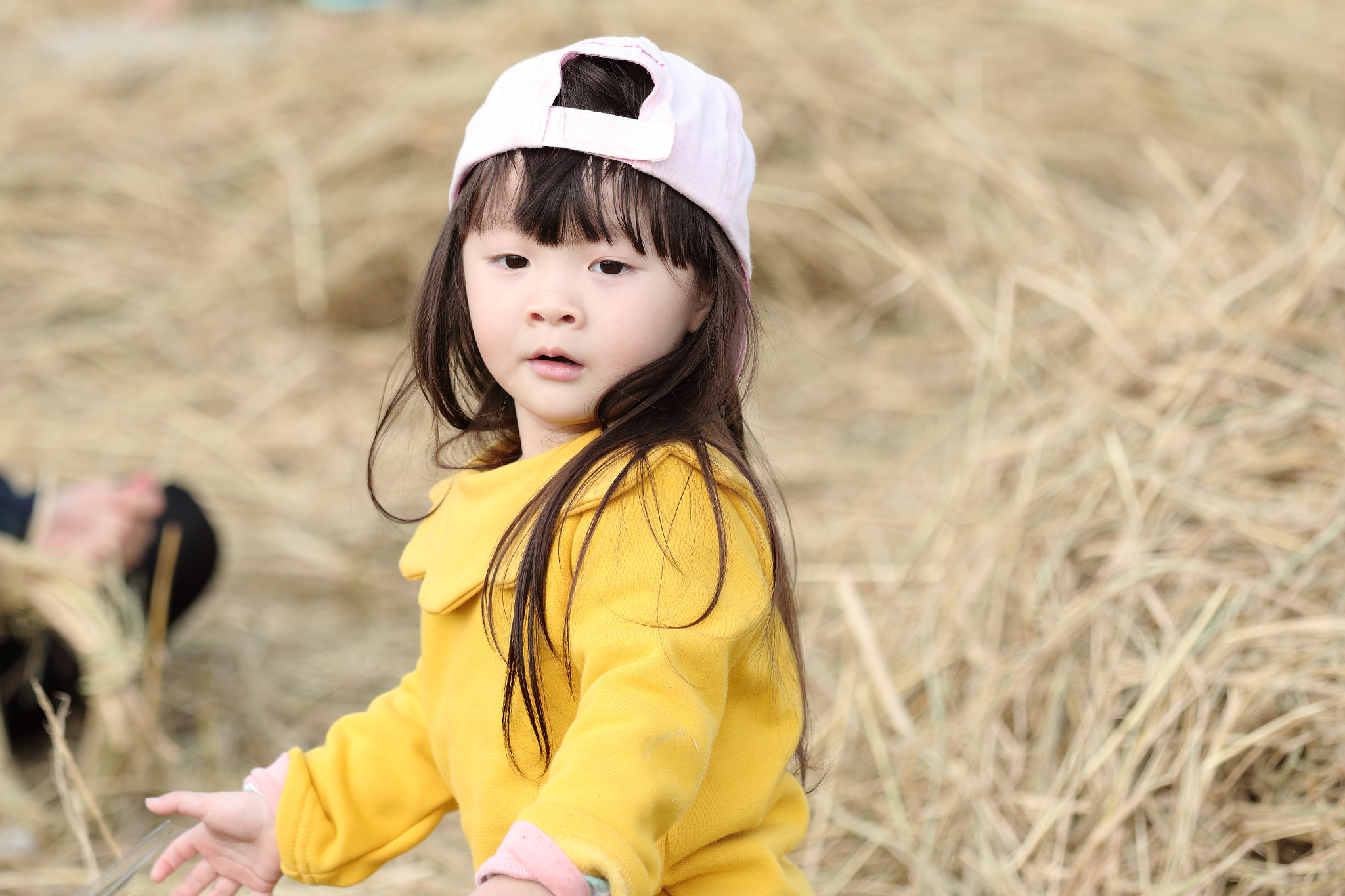 Canon EOS 70D + Canon EF 70-200mm F4L IS USM sample photo. Img_1032m 麥田精靈 photography
