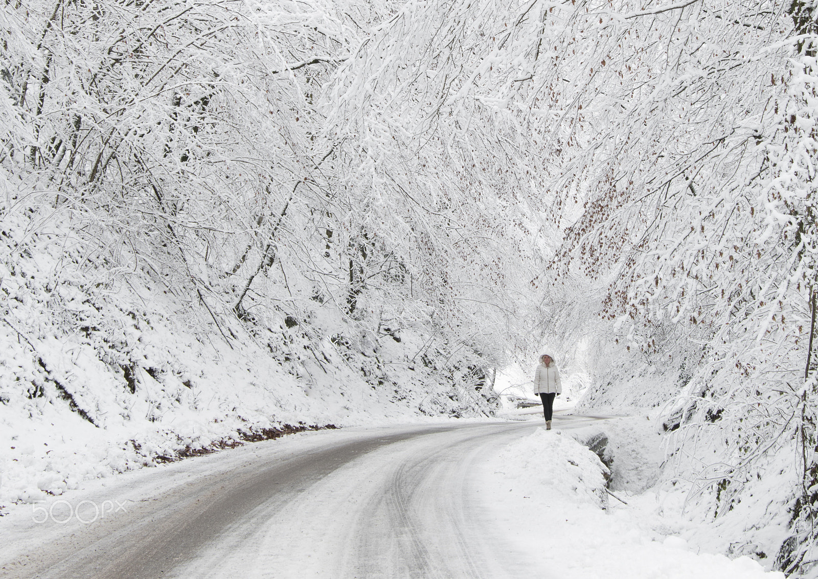 Nikon AF-S Nikkor 24-70mm F2.8E ED VR sample photo. Winter photography