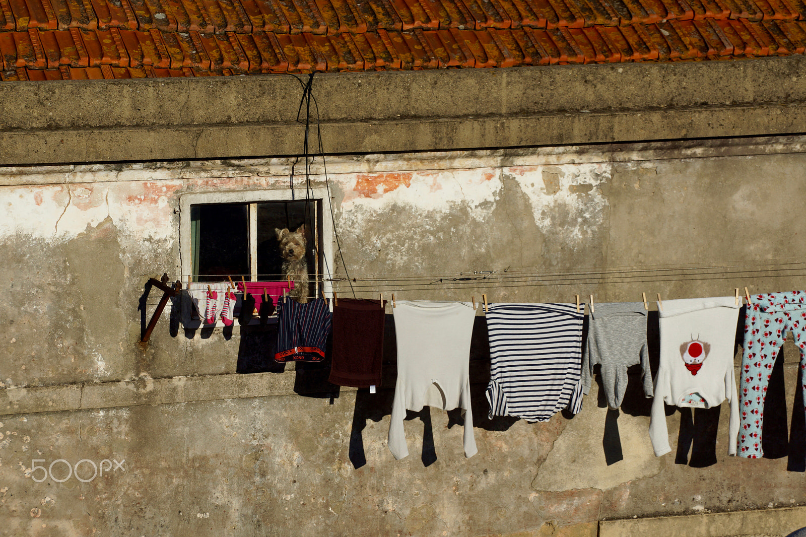 Sony DT 18-135mm F3.5-5.6 SAM sample photo. Lisbon & around photography