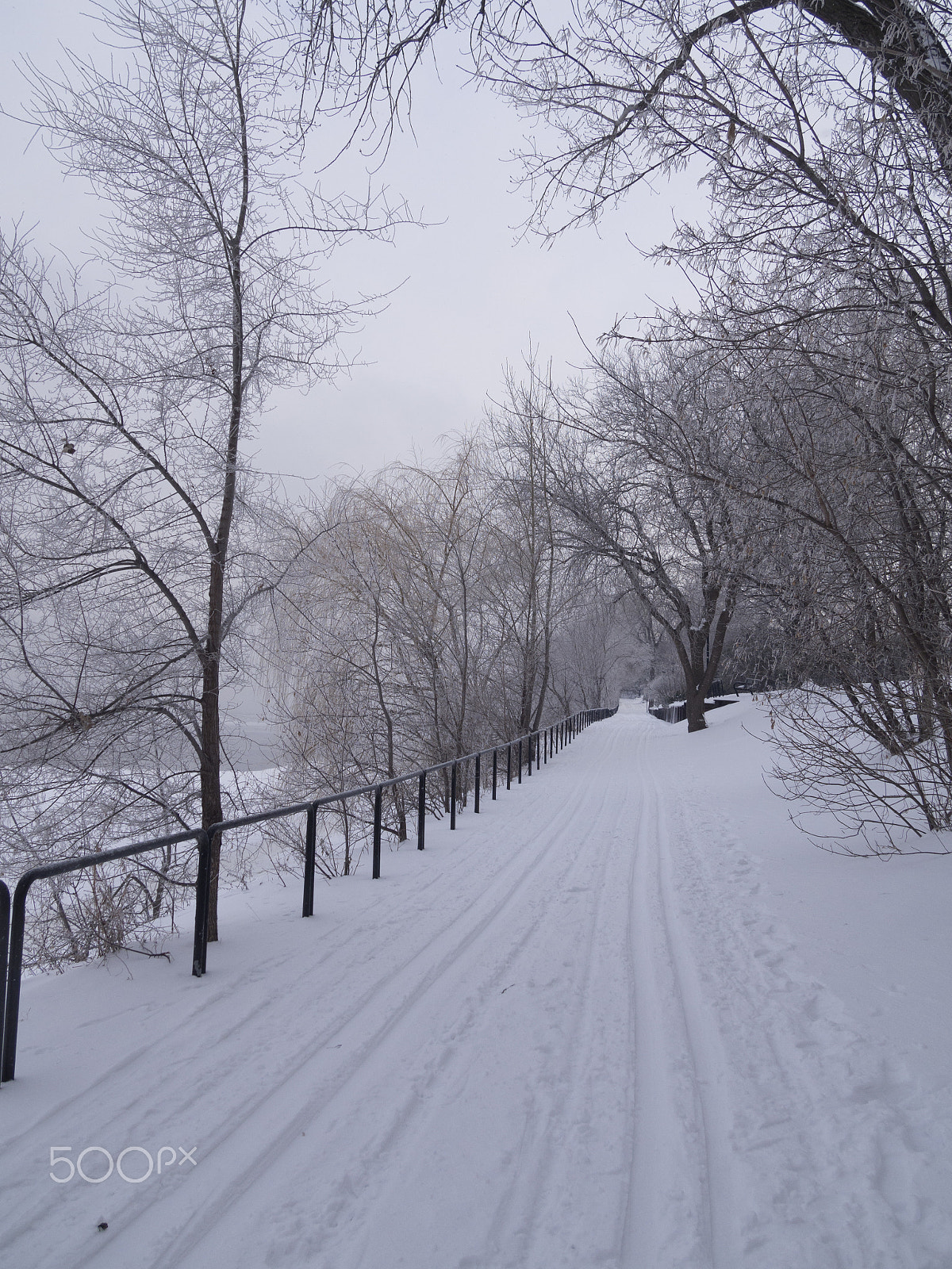 Olympus PEN E-PL5 sample photo. Winter landscape photography