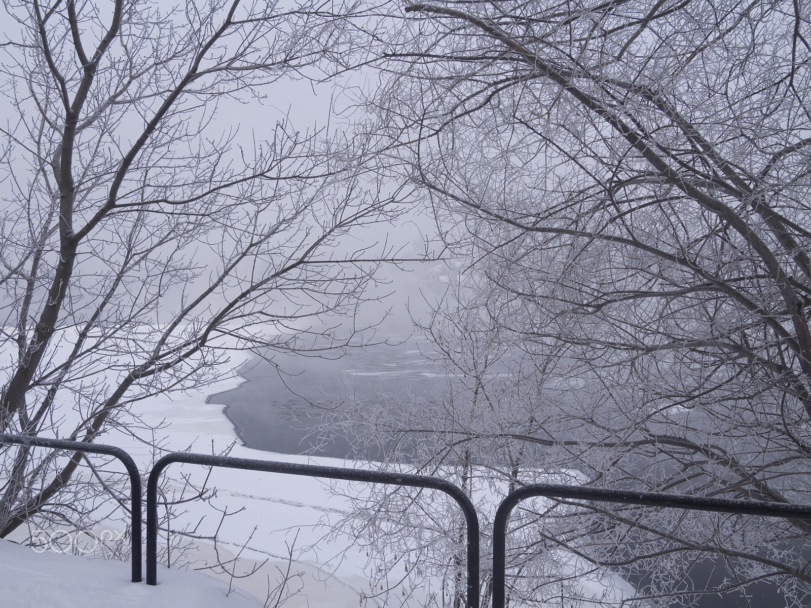 Olympus PEN E-PL5 sample photo. Winter landscape photography