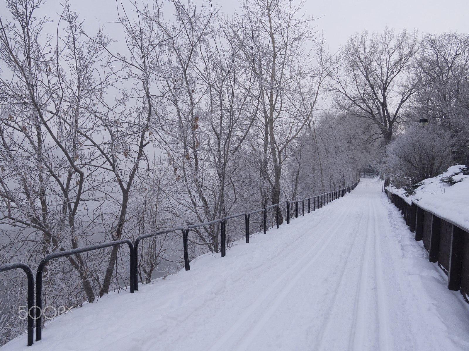 Olympus PEN E-PL5 sample photo. Winter landscape photography