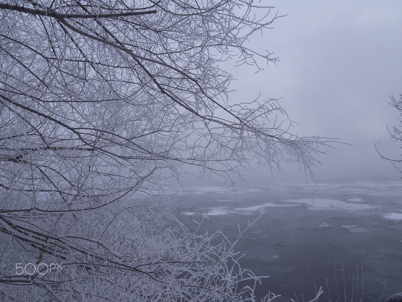 Olympus PEN E-PL5 sample photo. Winter landscape photography