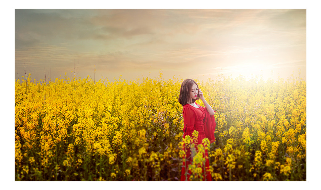 Nikon D810 + Sigma 50mm F1.4 DG HSM Art sample photo