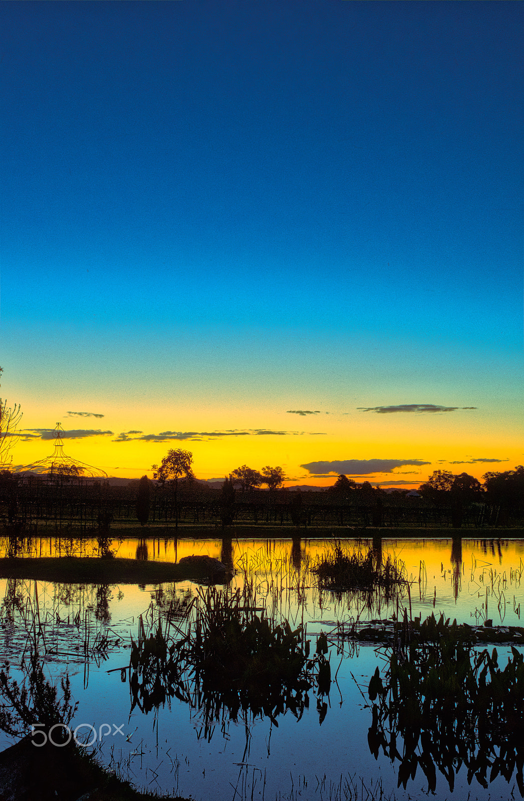 Pentax K-5 sample photo. Sunset over the vines photography