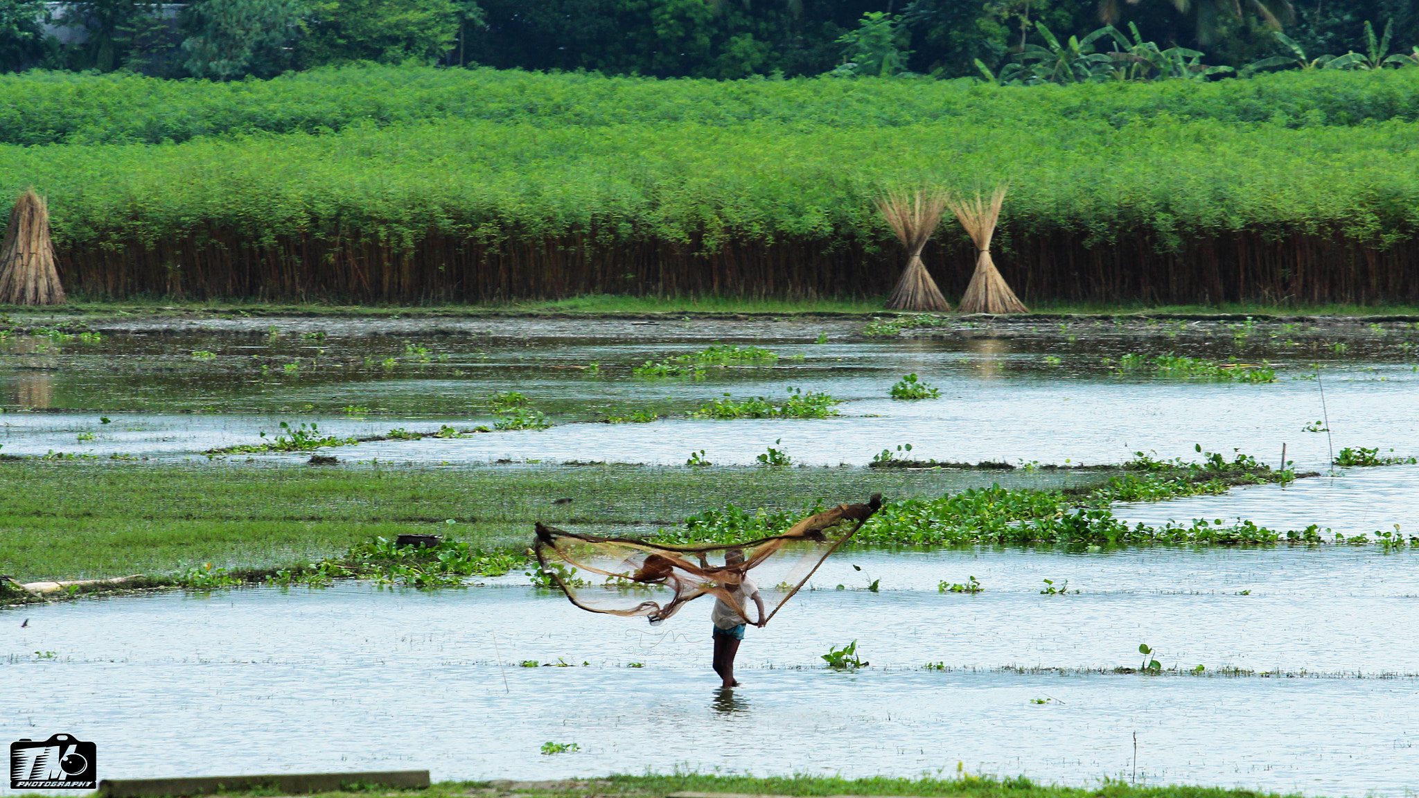 Canon EOS 700D (EOS Rebel T5i / EOS Kiss X7i) + Canon EF 70-200mm F4L USM sample photo. Fishing in bangladesh photography