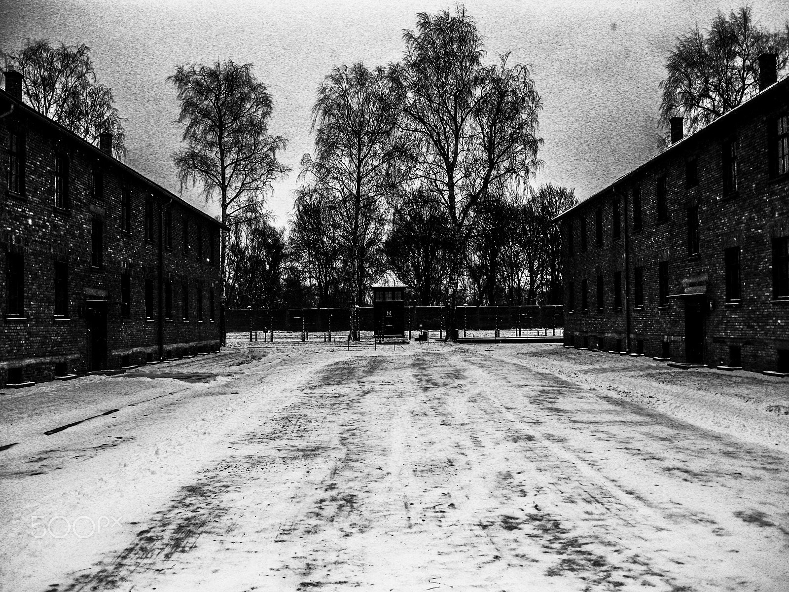 Canon PowerShot SD790 IS (Digital IXUS 90 IS / IXY Digital 95 IS) sample photo. Auschwitz3 photography