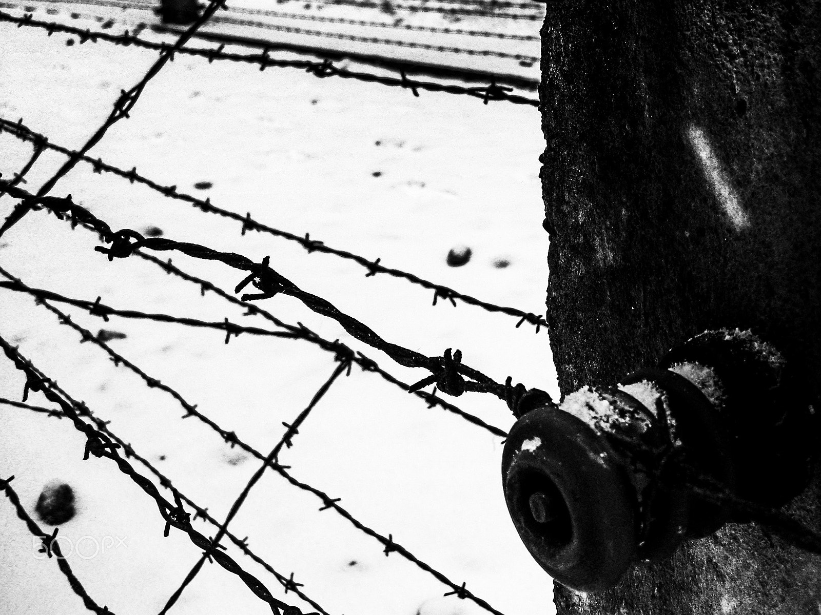 Canon PowerShot SD790 IS (Digital IXUS 90 IS / IXY Digital 95 IS) sample photo. Auschwitz7 photography