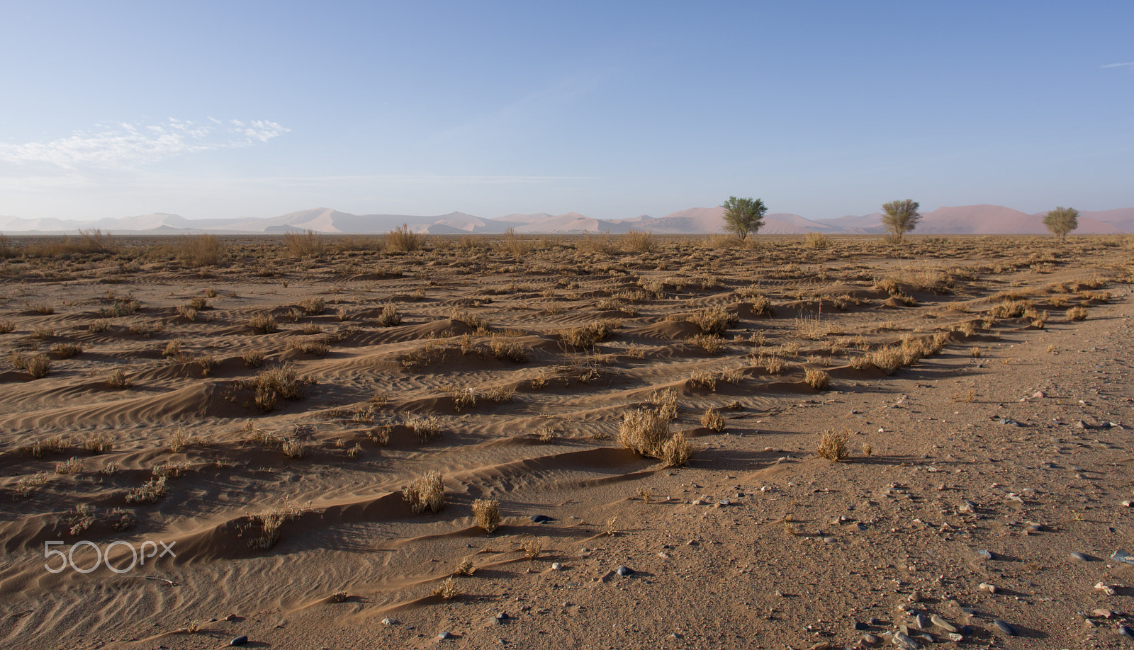 HD Pentax DA 15mm F4 ED AL Limited sample photo. Namibië photography