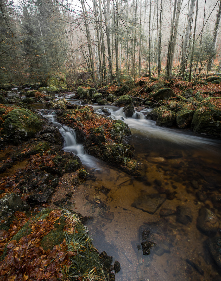 Sony a7R sample photo. Harz mountains photography