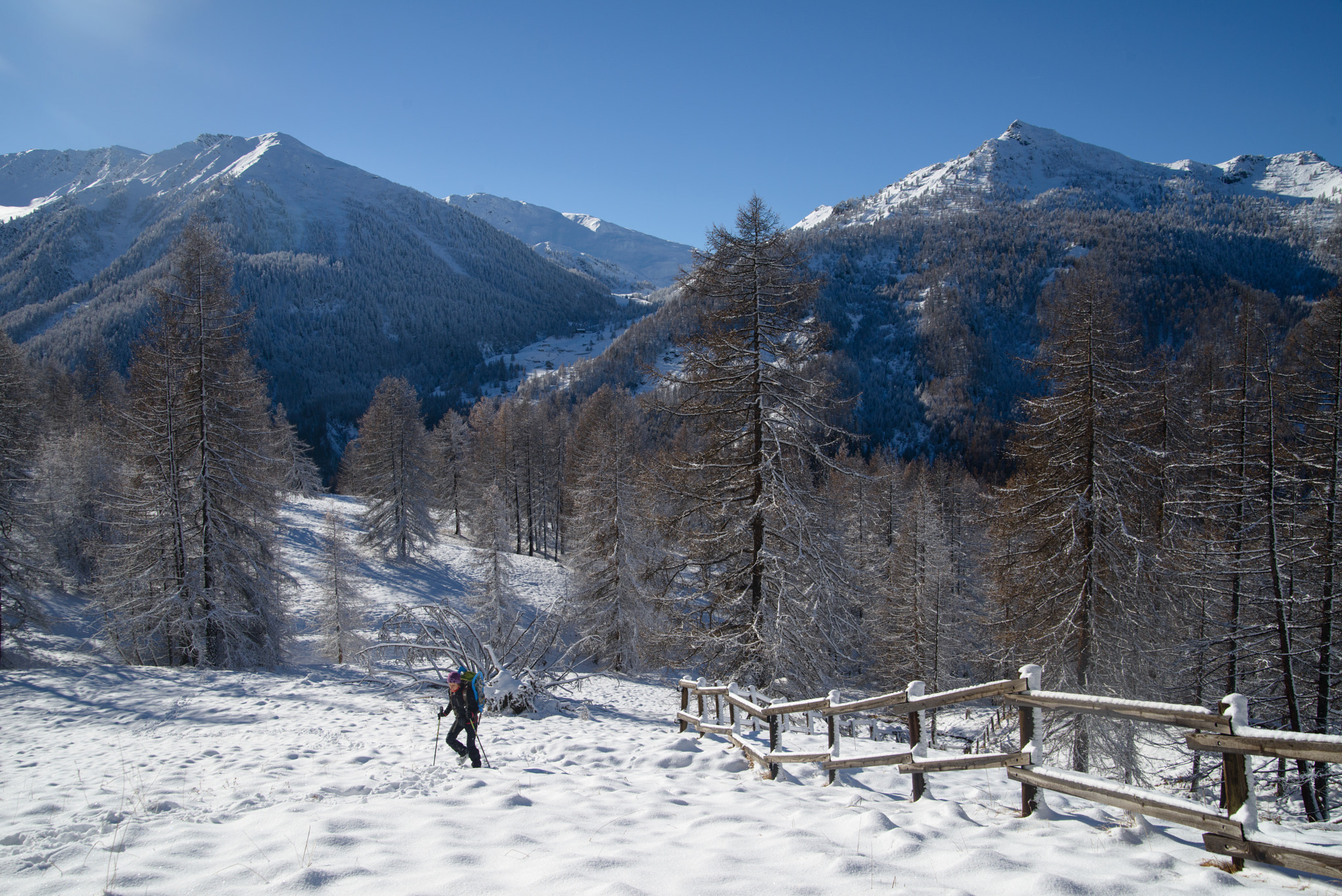 Nikon D800 sample photo. Climbing cima del bosco photography