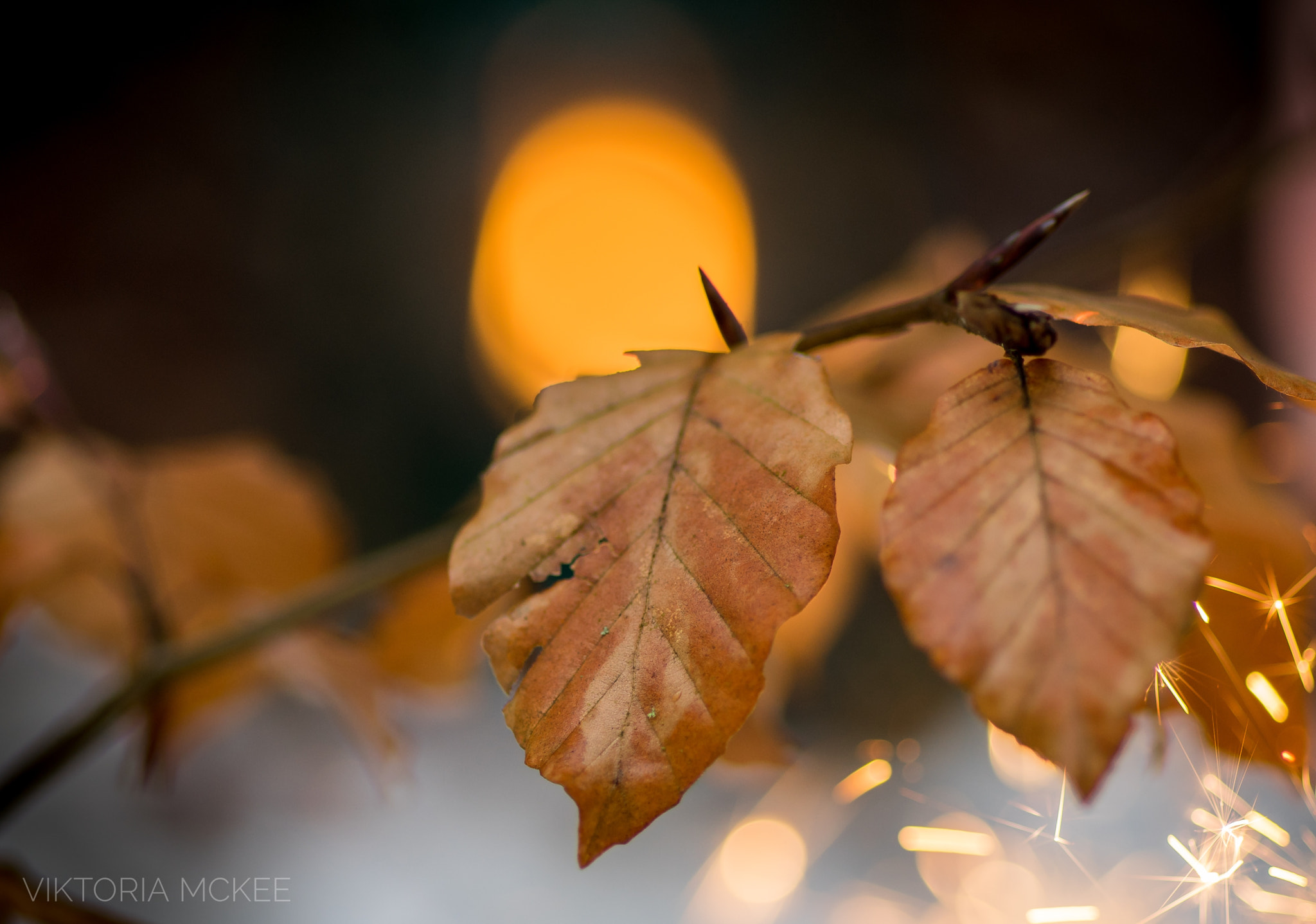 Sony a7R sample photo. Light the world photography