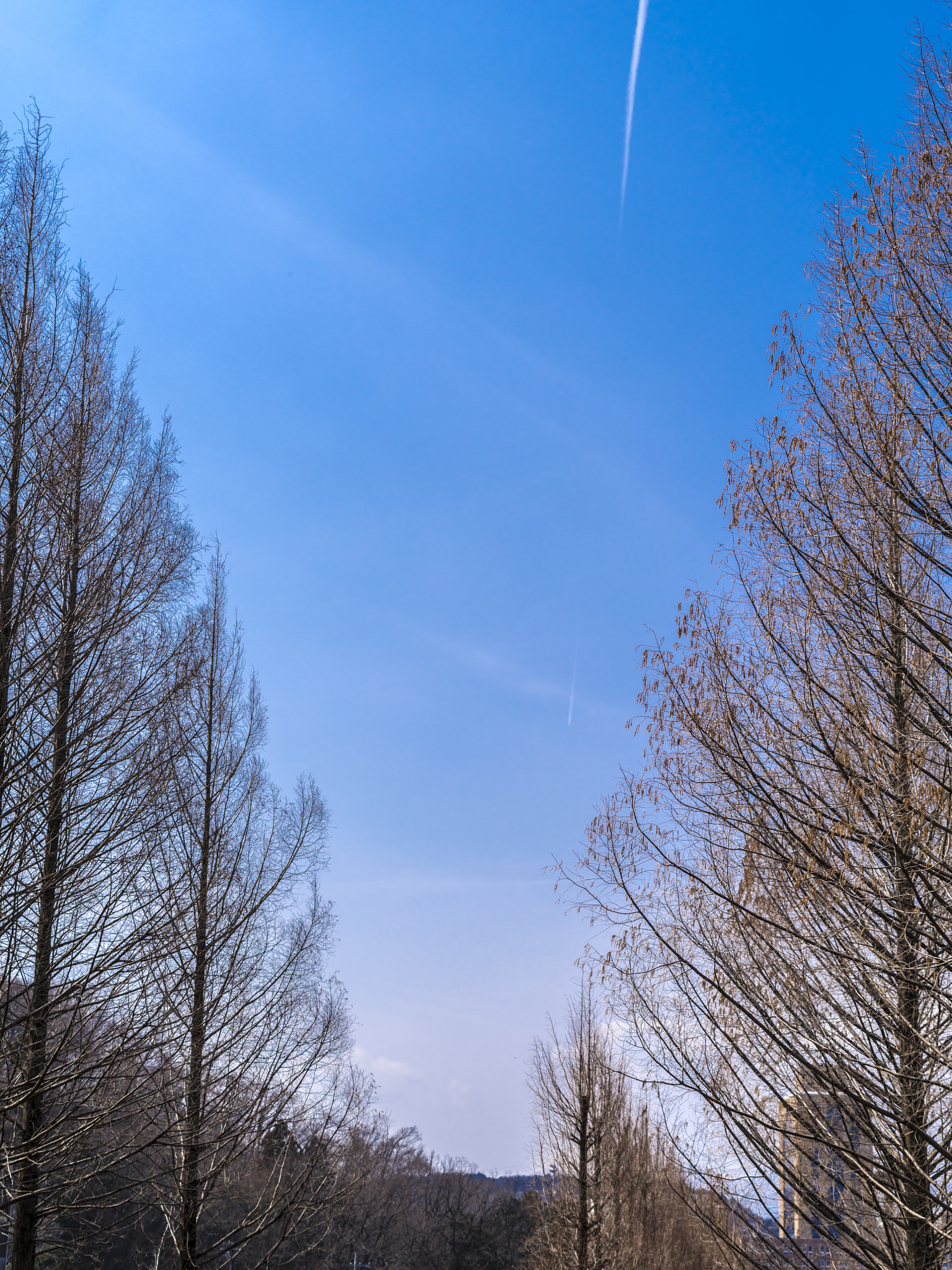 Pentax 645Z sample photo. Contrail photography