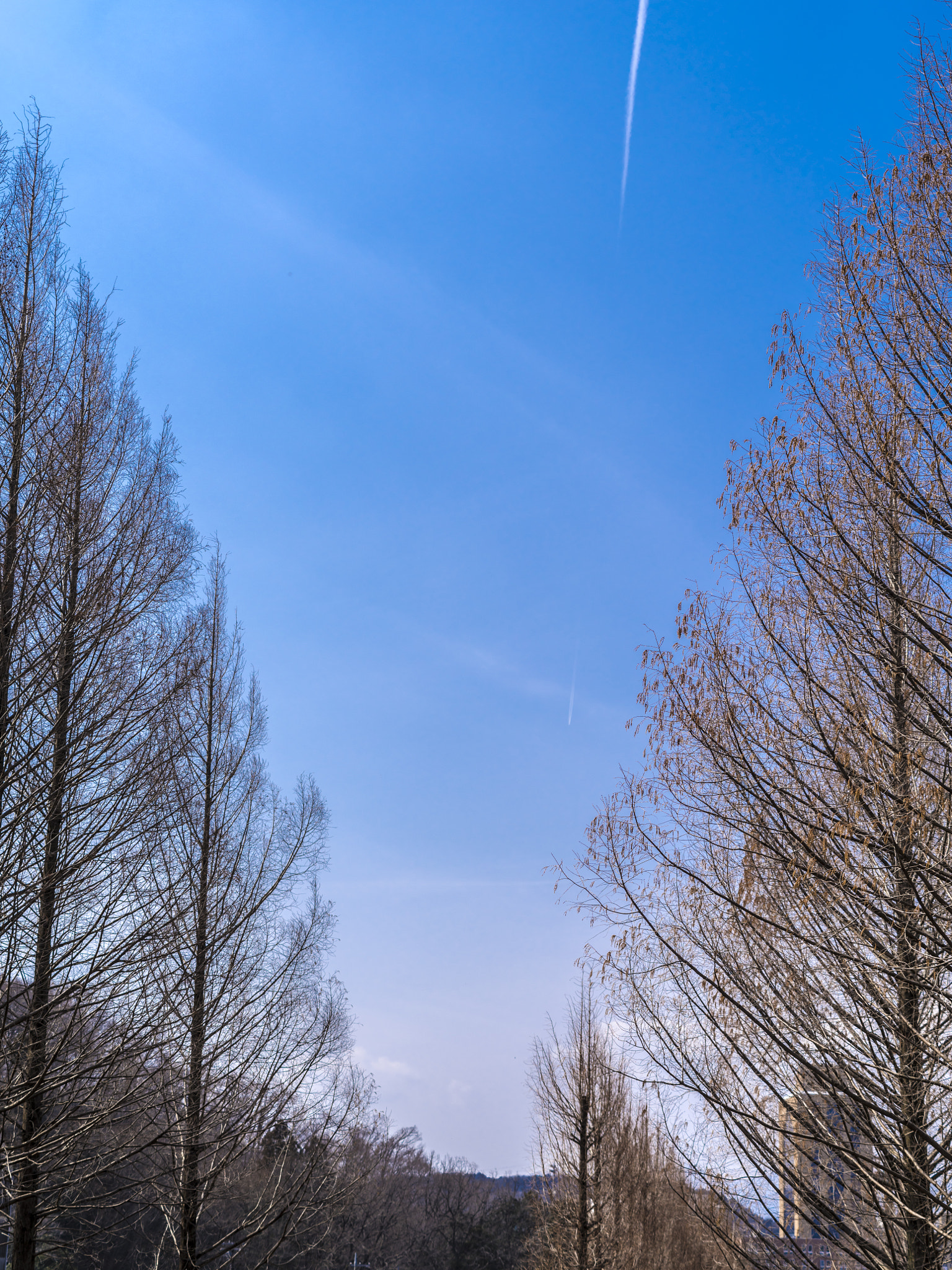 Pentax 645Z + smc PENTAX-FA 645 80-160mm F4.5 sample photo. Contrail photography