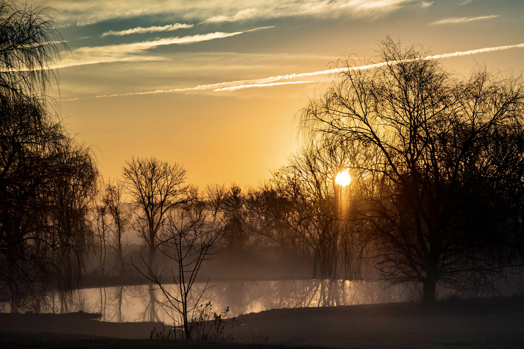 Nikon D810 sample photo. Foggy feb photography