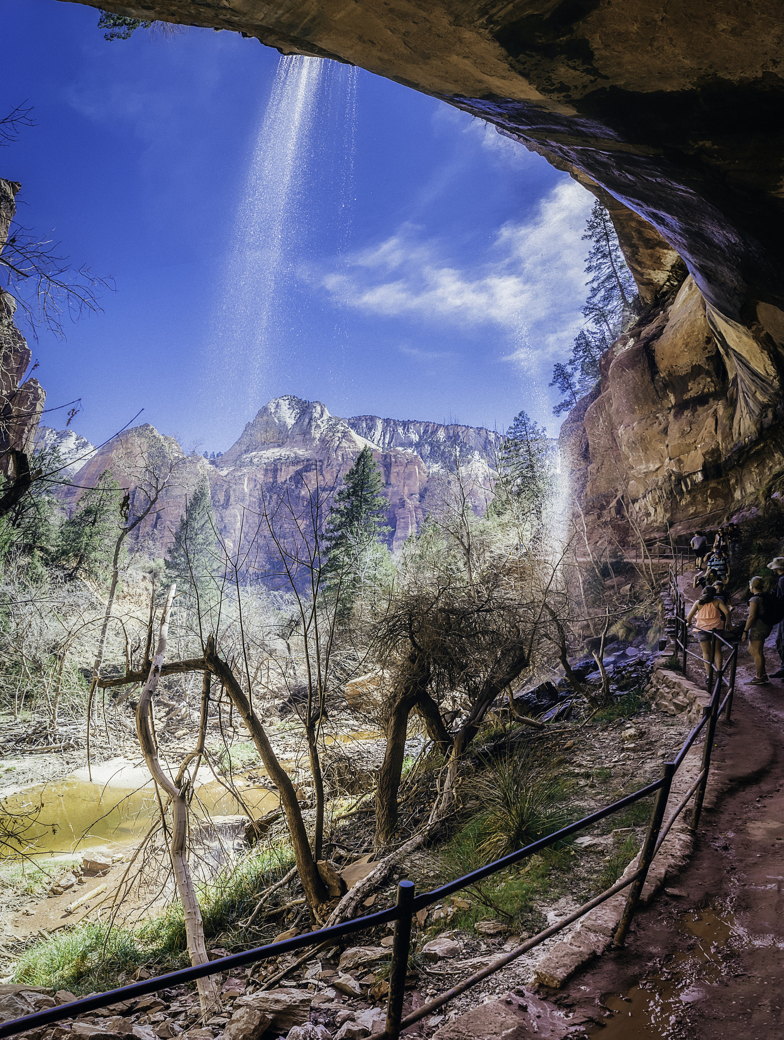 Sony a7R + Sony Vario Tessar T* FE 24-70mm F4 ZA OSS sample photo. Zion national park xi photography