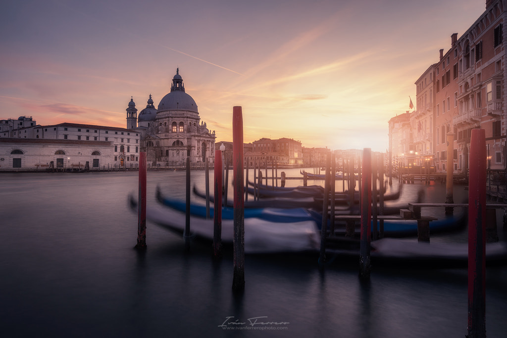 Venecia´s down