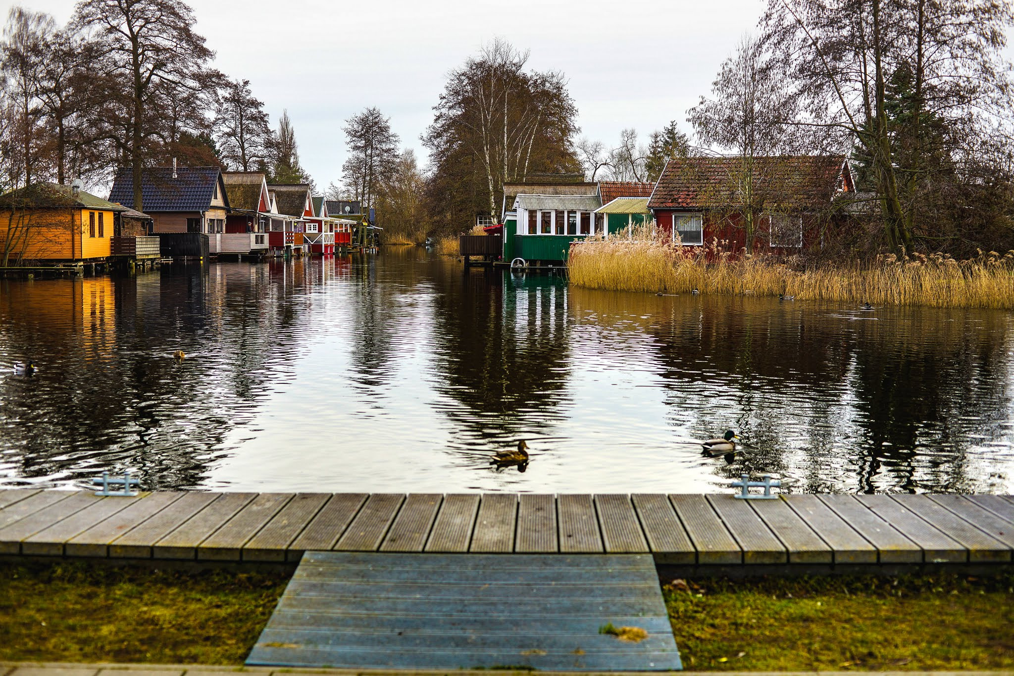 Sony a99 II sample photo. Frühling am see  photography