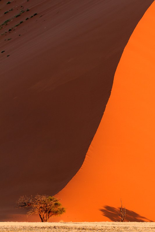 Canon EOS 7D + Canon EF 300mm F2.8L IS USM sample photo. Namib desert photography