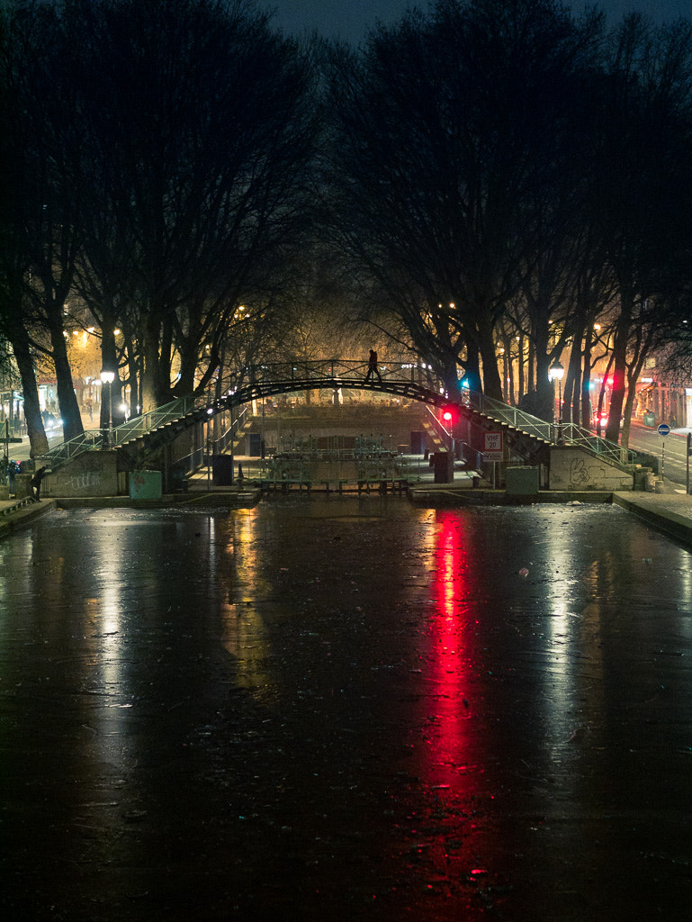 Panasonic Lumix DMC-GX7 sample photo. Above the frozen canal. photography