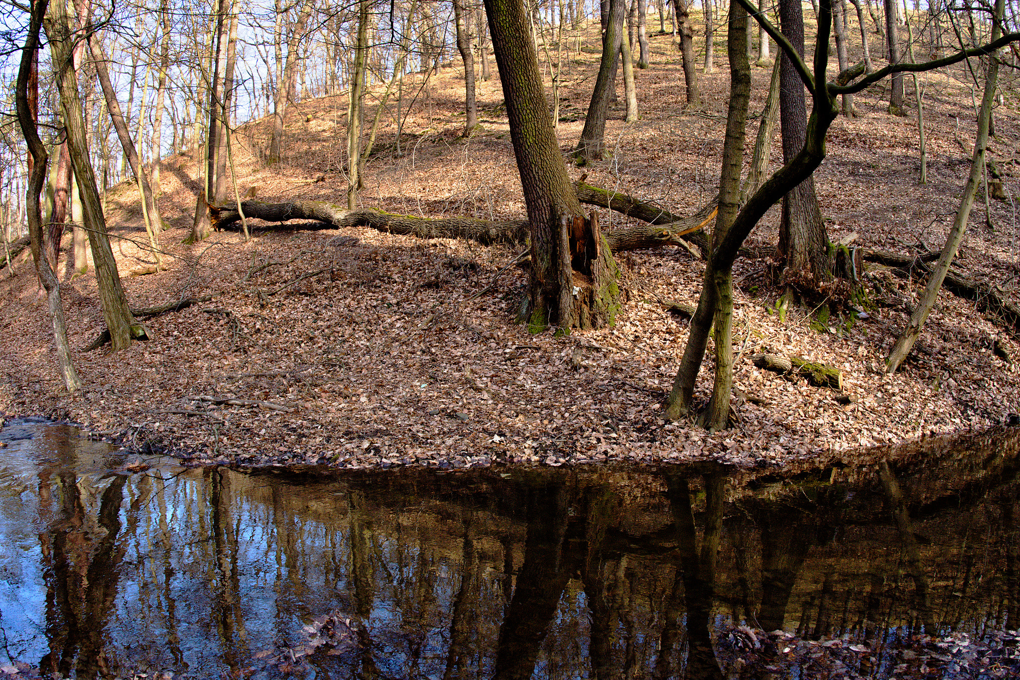 Nikon D7200 + Nikon AF Fisheye-Nikkor 16mm F2.8D sample photo. Creek at the foothill photography