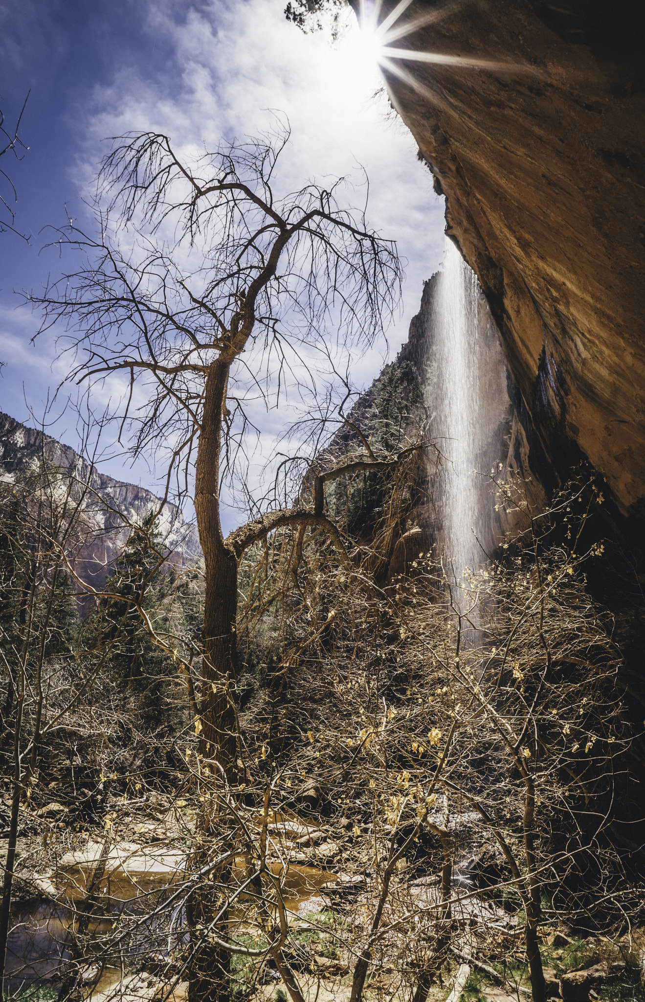 Sony a7R sample photo. Zion national park xii photography