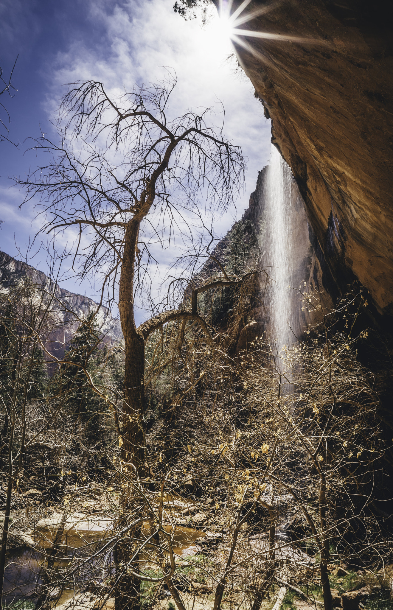 Sony a7R + Sony Vario Tessar T* FE 24-70mm F4 ZA OSS sample photo. Zion national park xii photography