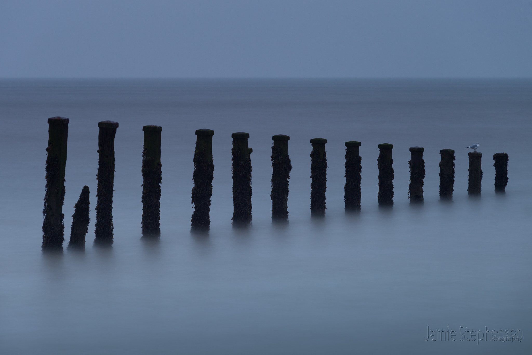 Sigma 70-200mm F2.8 EX DG OS HSM sample photo. Sentinel photography