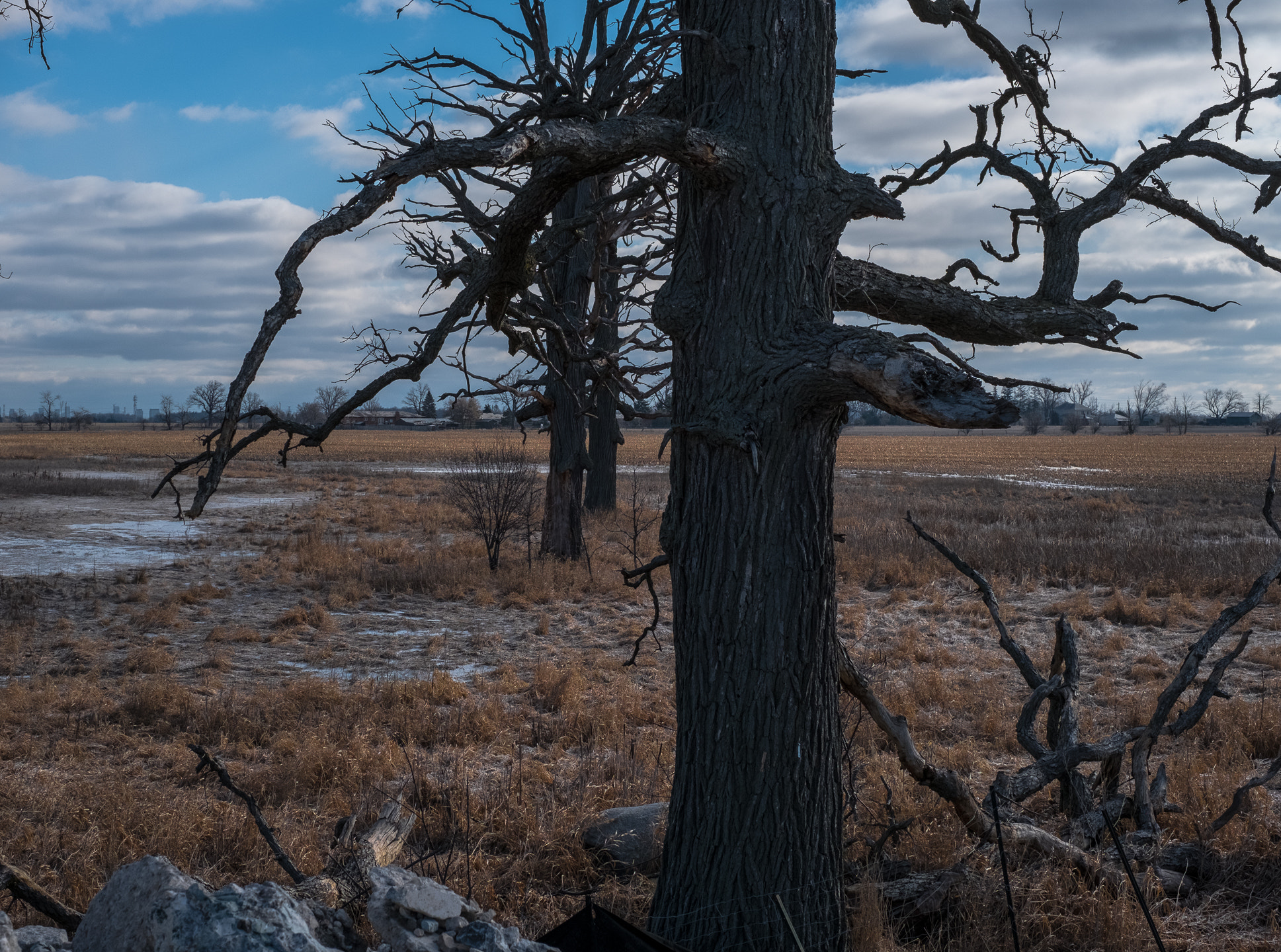Fujifilm X-T2 + Fujifilm XF 35mm F1.4 R sample photo. Odd numbered subject assignment photography