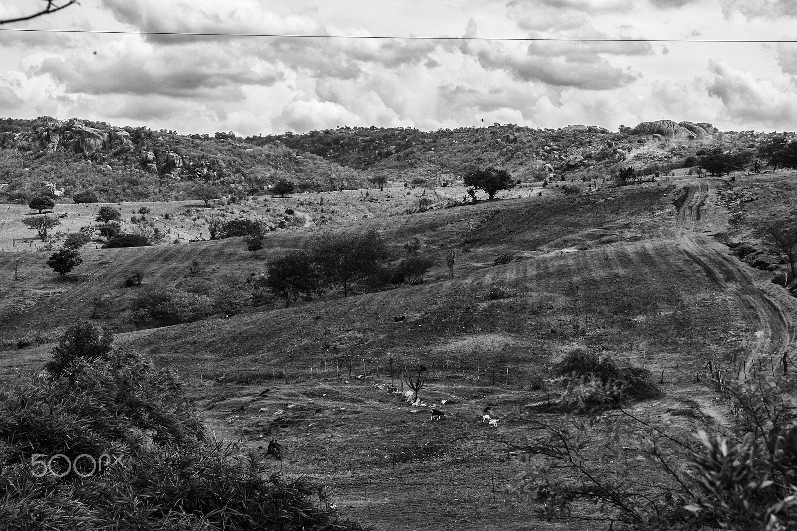 Samsung NX200 sample photo. Galante, brazil, 2017 photography