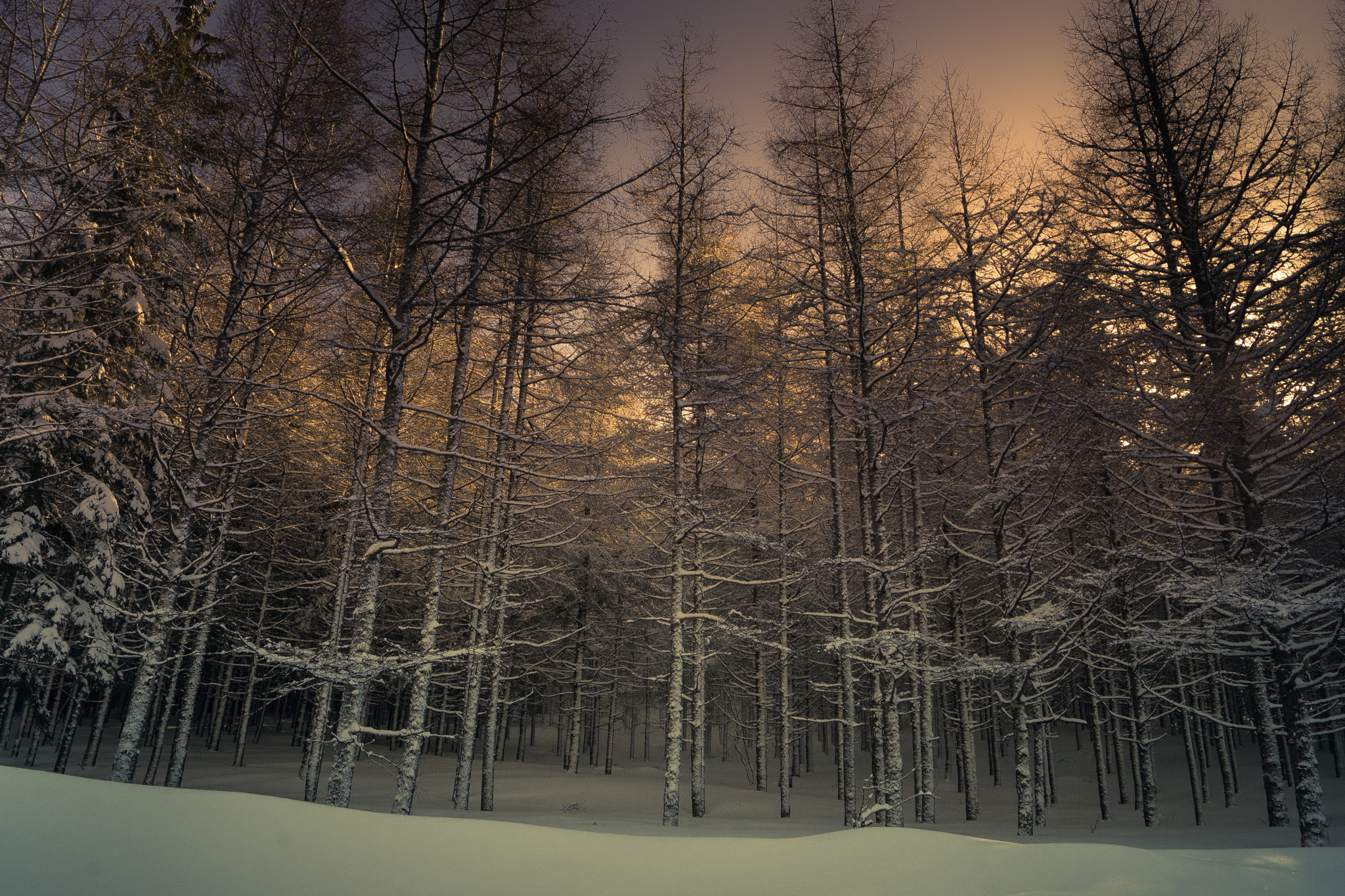 Sony SLT-A65 (SLT-A65V) + Sony DT 18-55mm F3.5-5.6 SAM sample photo. Yuto kai photography