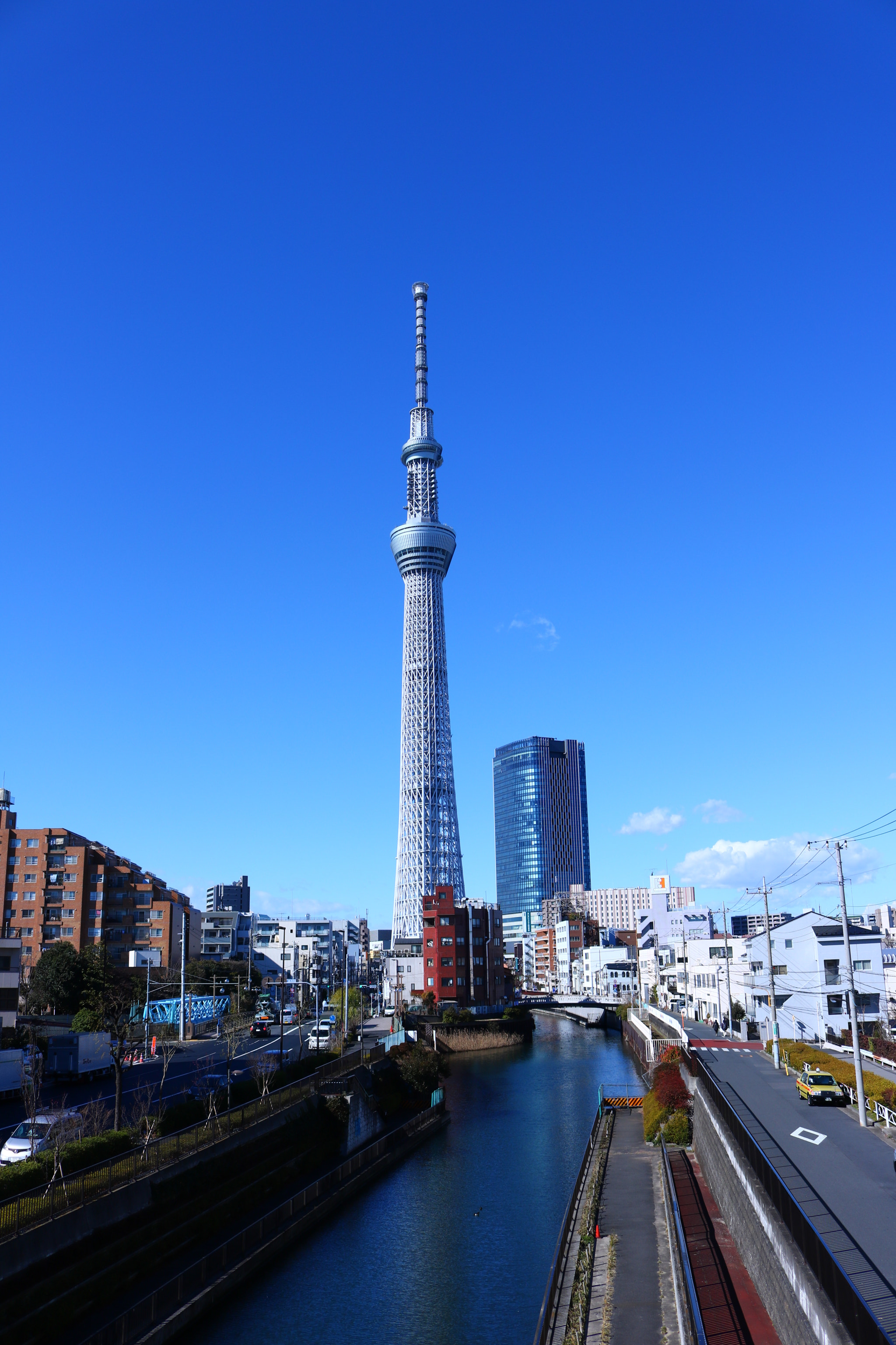 Canon EOS 760D (EOS Rebel T6s / EOS 8000D) + Canon EF-S 18-55mm F3.5-5.6 IS STM sample photo. Tokyo skytree photography