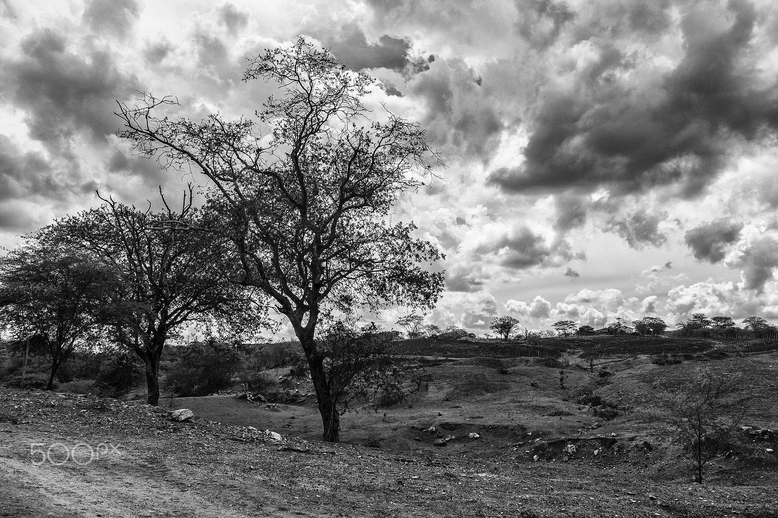 Samsung NX200 + Samsung NX 20-50mm F3.5-5.6 ED sample photo. Galante, brazil, 2017 photography