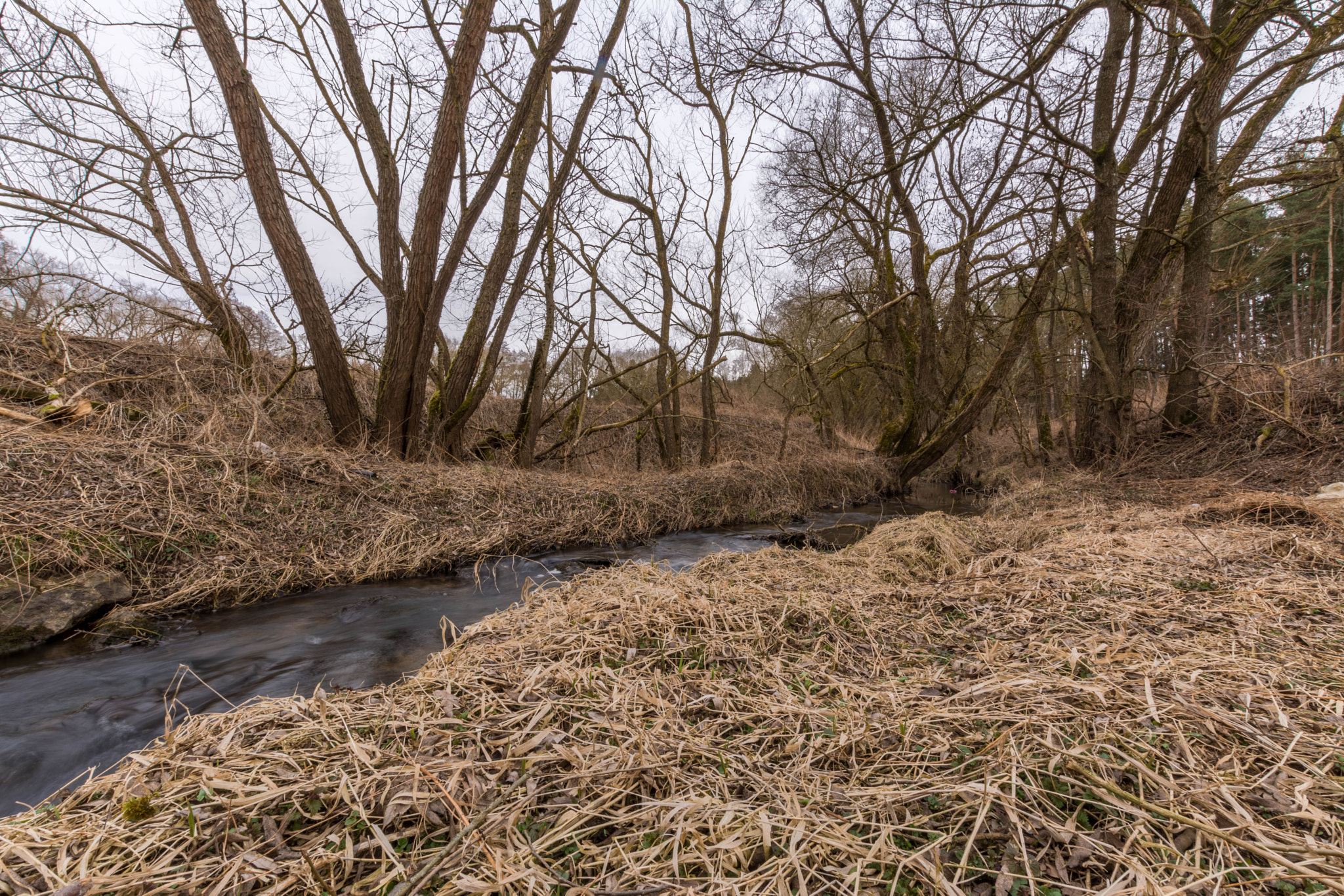 Nikon D5200 + Sigma 10-20mm F3.5 EX DC HSM sample photo