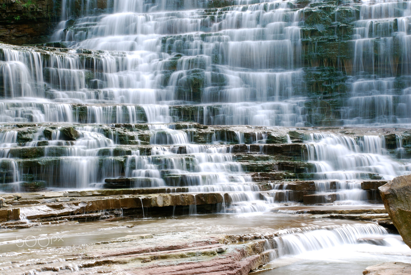 Nikon D60 sample photo. Hamilton, ontario photography