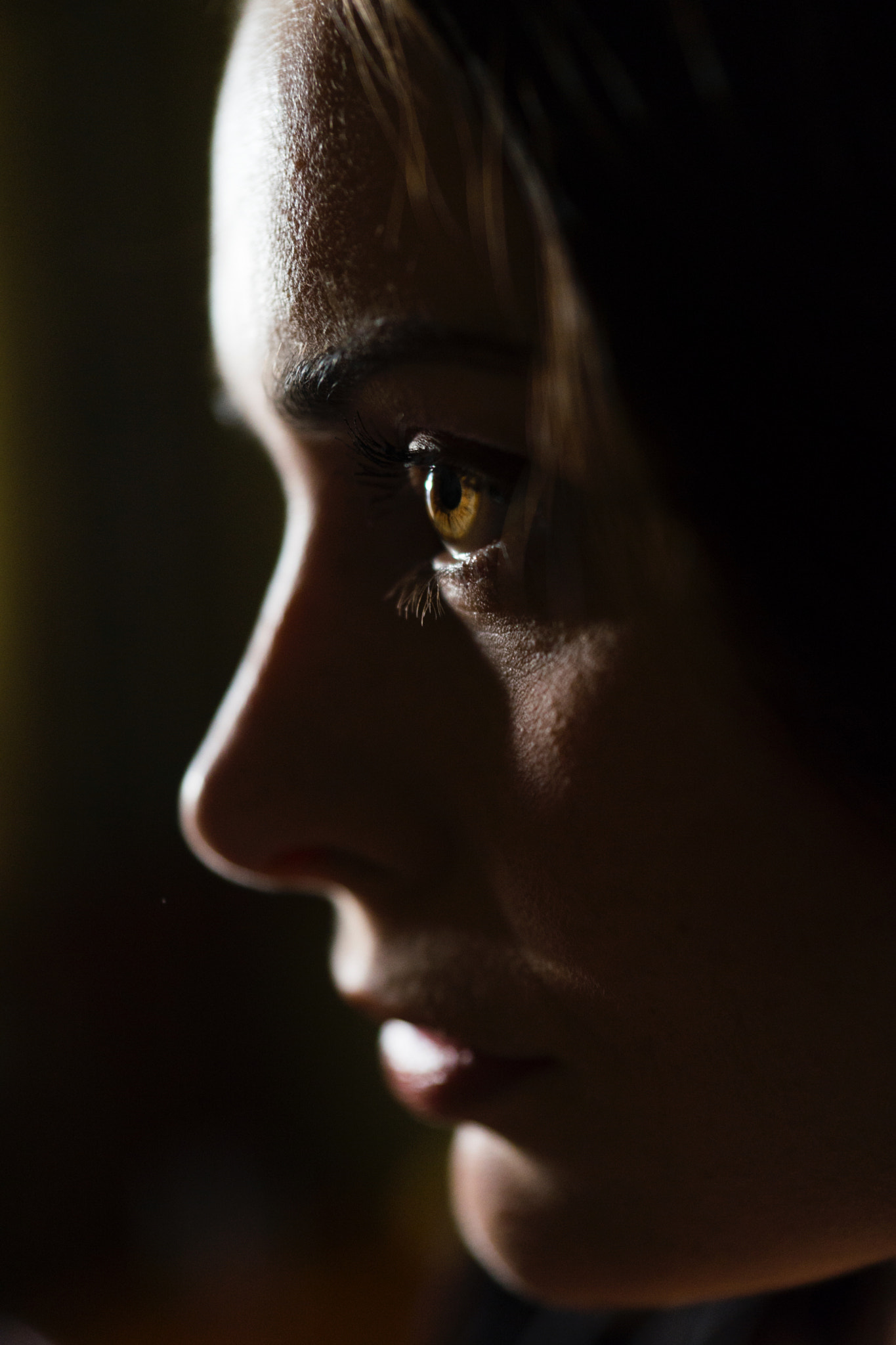 Sony Alpha a99 sample photo. Img photography