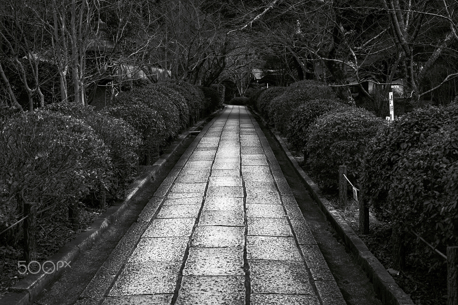 Summicron-M 50mm f/2 (IV, V) sample photo. Kyoto,japan photography