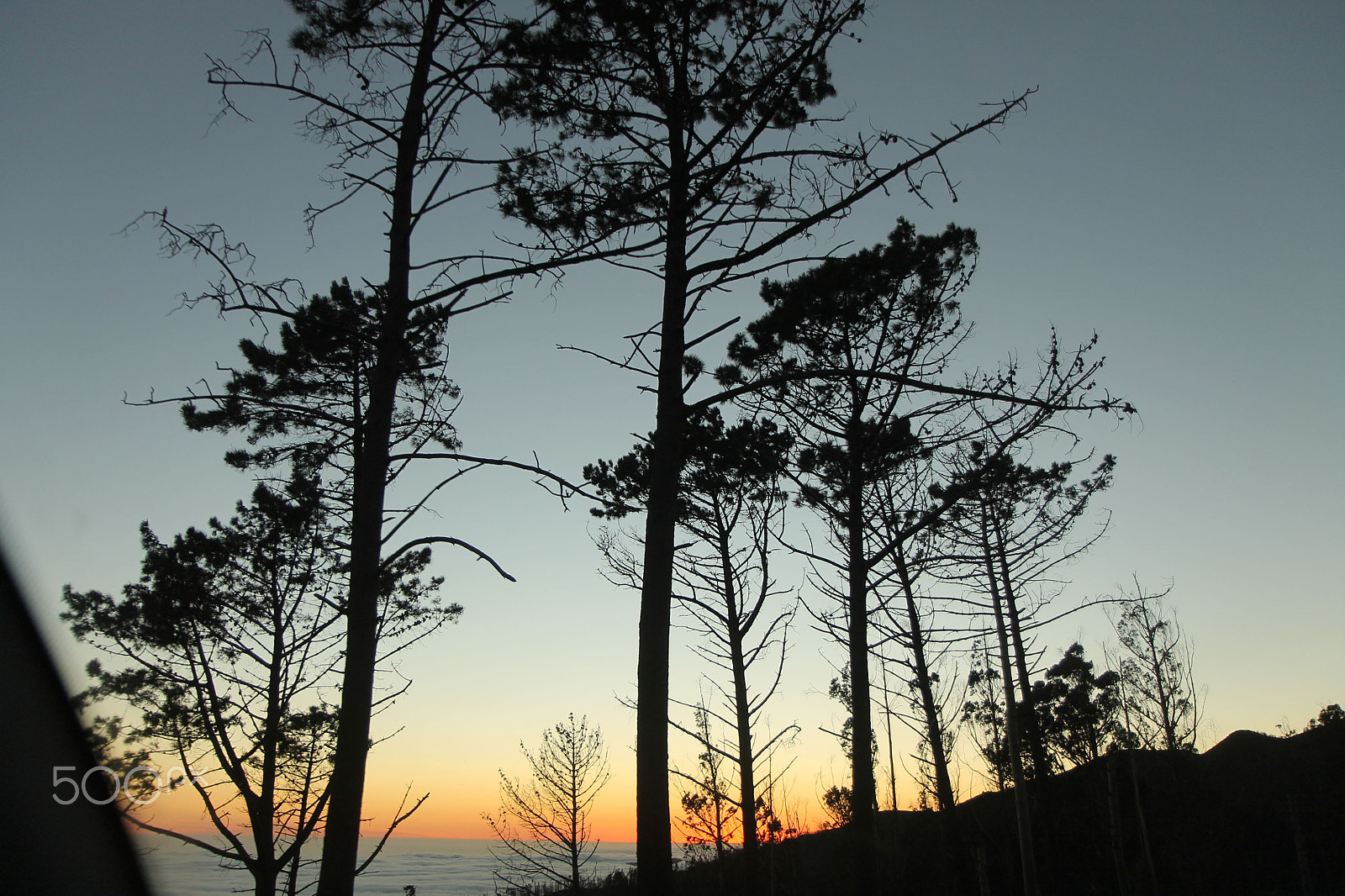 Canon EF-S 17-55mm F2.8 IS USM sample photo. Madeira island - portugal photography