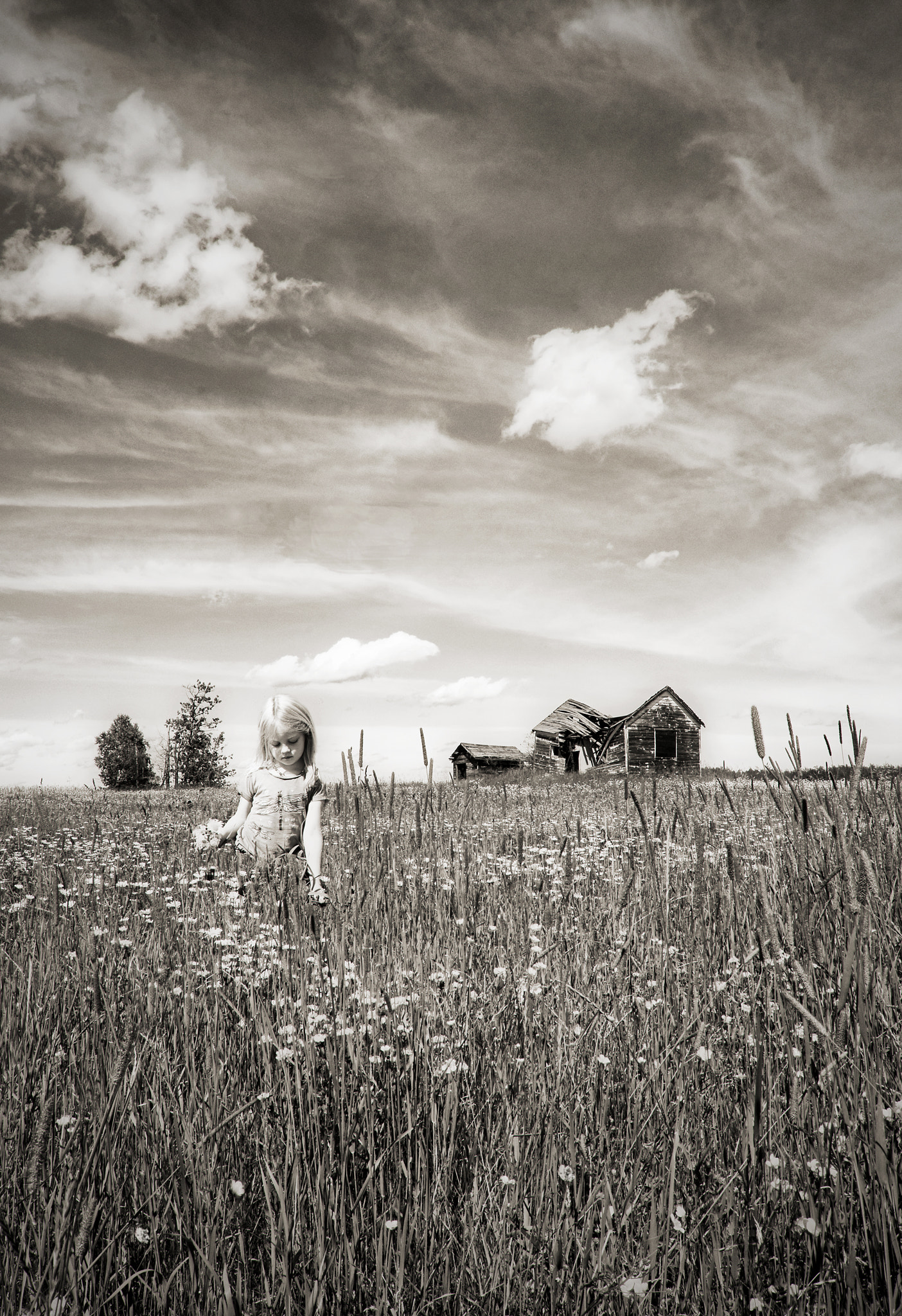 Nikon D7200 sample photo. Summer meadow photography